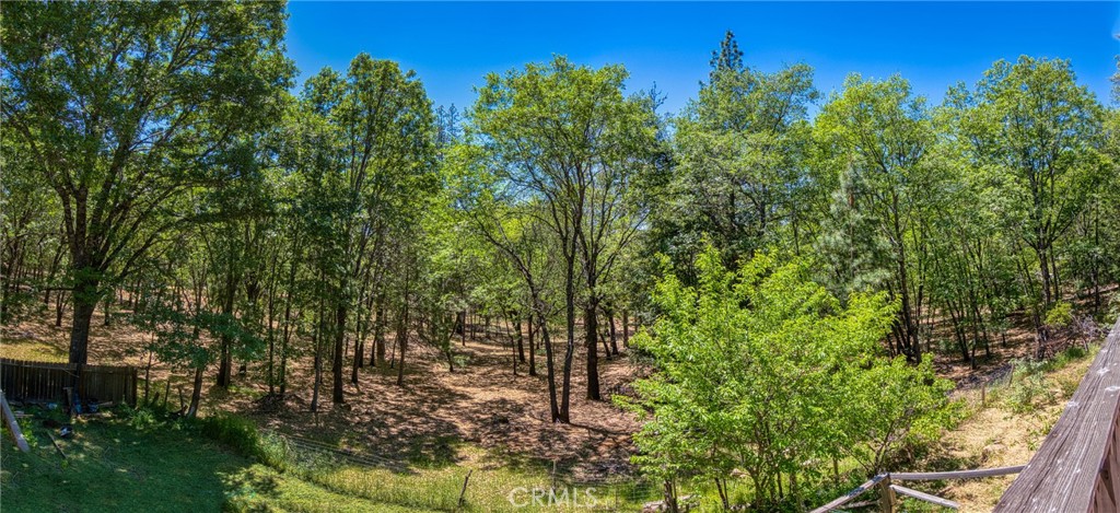 11575 Loch Lomond Road Middletown, CA 95461 - Photo 34 of 38 a view of a yard with large trees