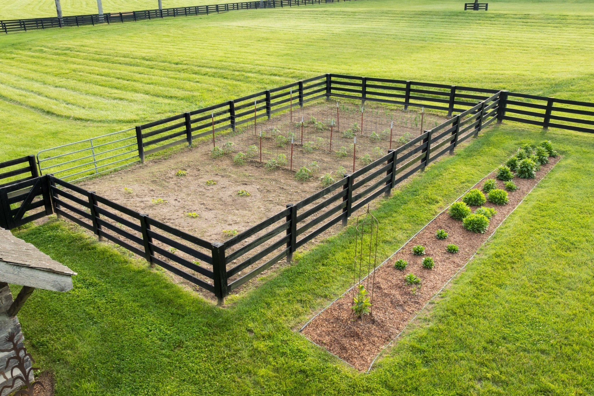 5620 Leipers Creek Road Franklin, TN 37064 - Photo 12 of 74