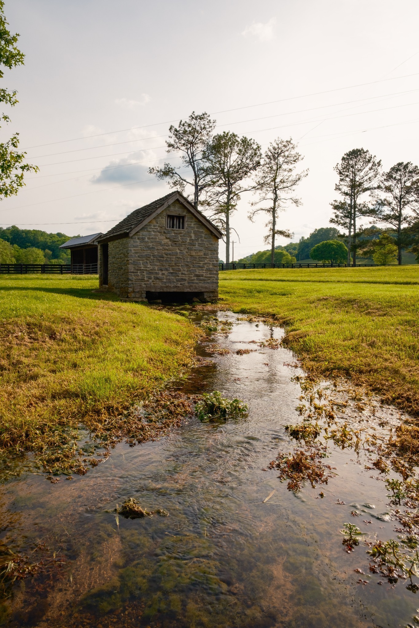 5620 Leipers Creek Road Franklin, TN 37064 - Photo 14 of 74