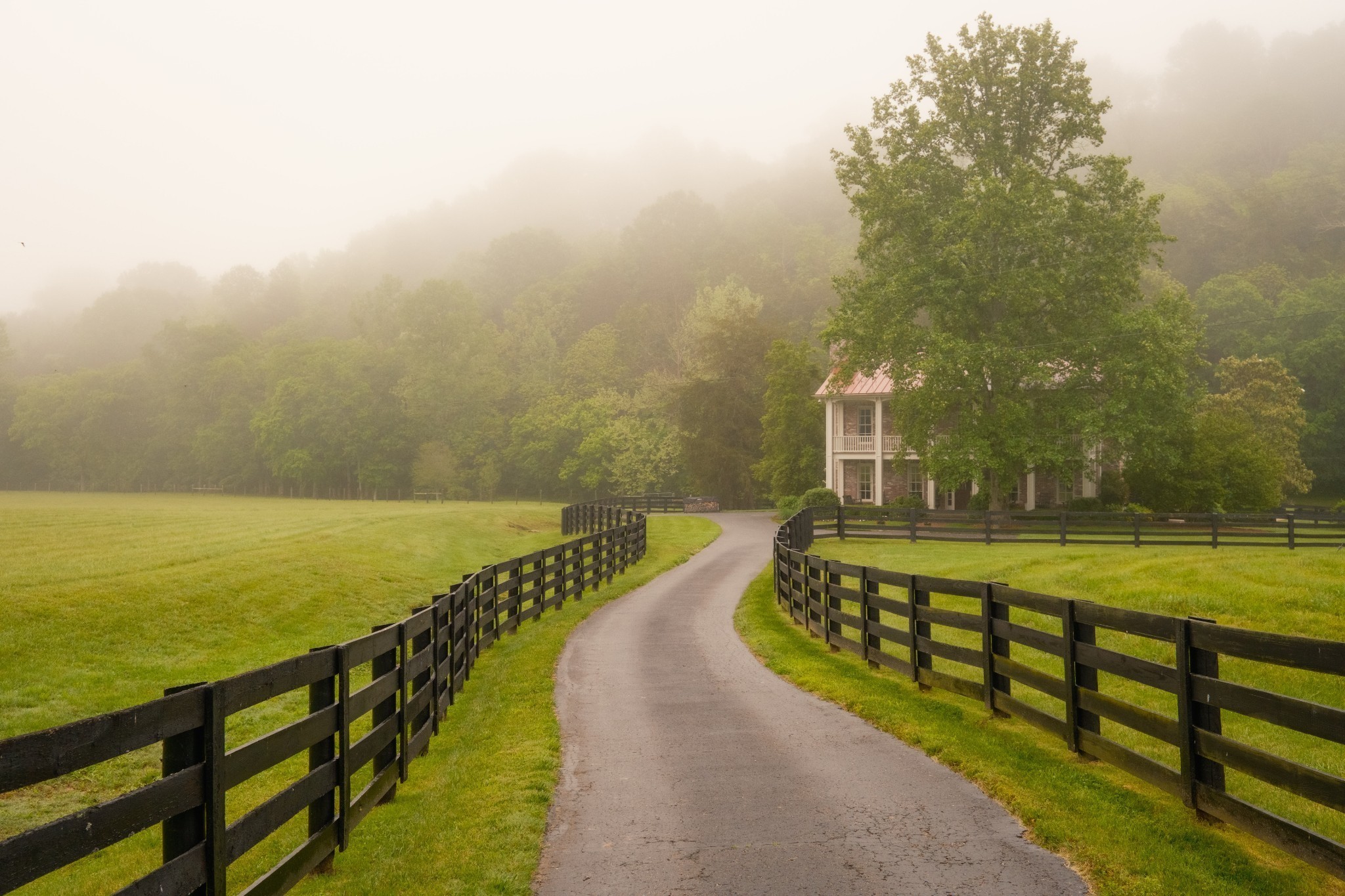 5620 Leipers Creek Road Franklin, TN 37064 - Photo 15 of 74 a view of a swimming pool with lawn chairs under an umbrella