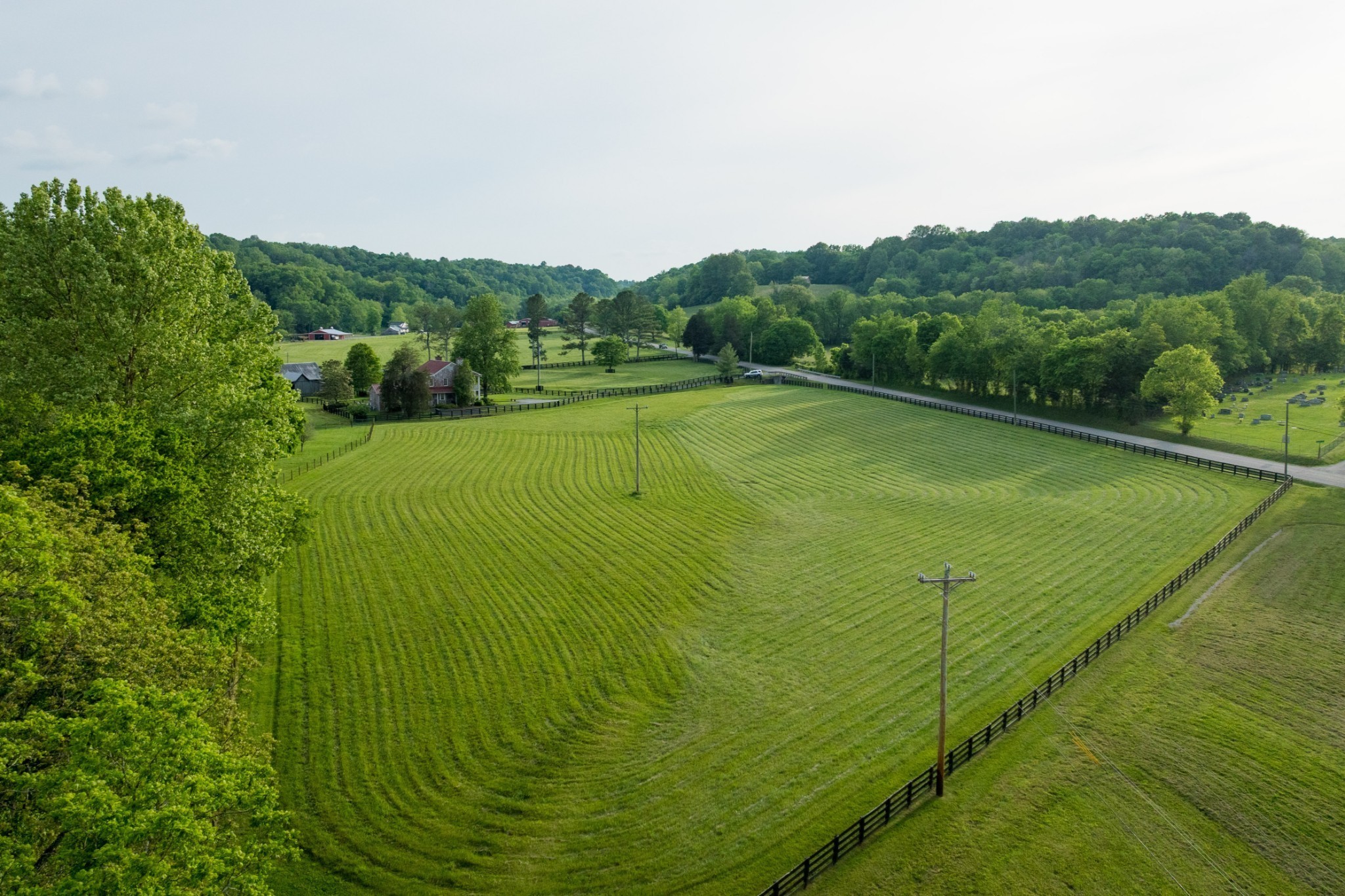 5620 Leipers Creek Road Franklin, TN 37064 - Photo 17 of 74 a view of a big yard with large trees