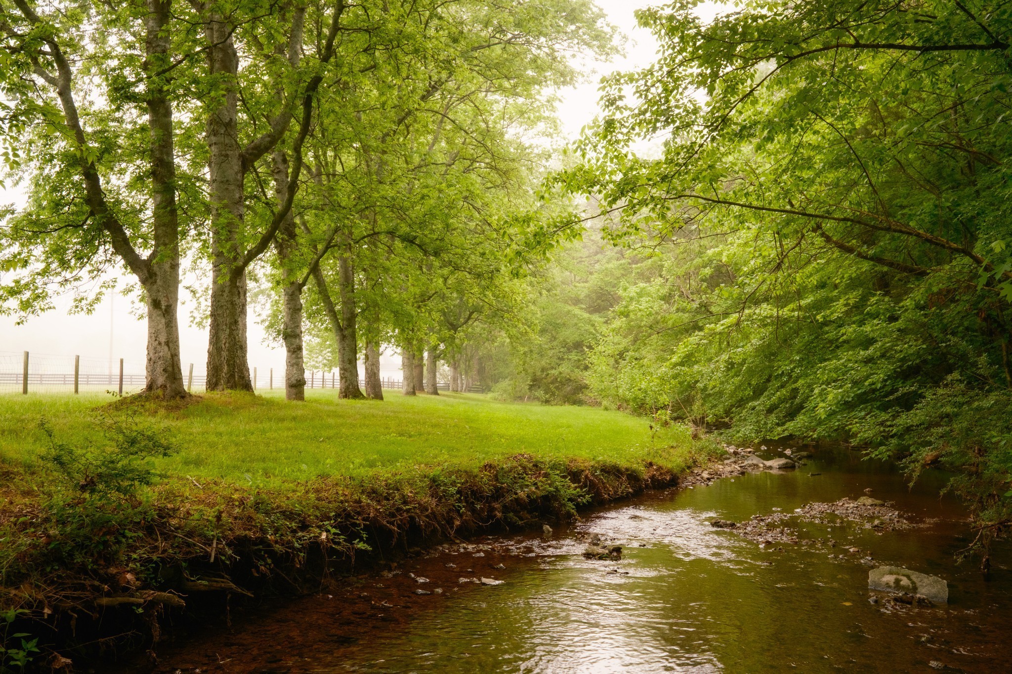 5620 Leipers Creek Road Franklin, TN 37064 - Photo 18 of 74 a view of a lake with a yard