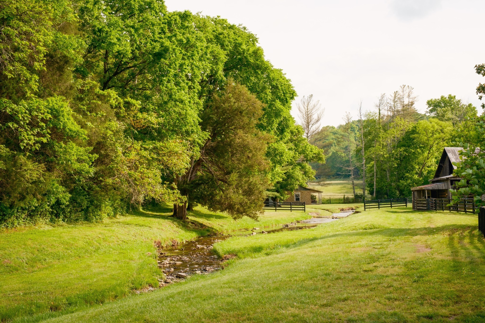 5620 Leipers Creek Road Franklin, TN 37064 - Photo 20 of 74 a view of swimming pool with an outdoor space