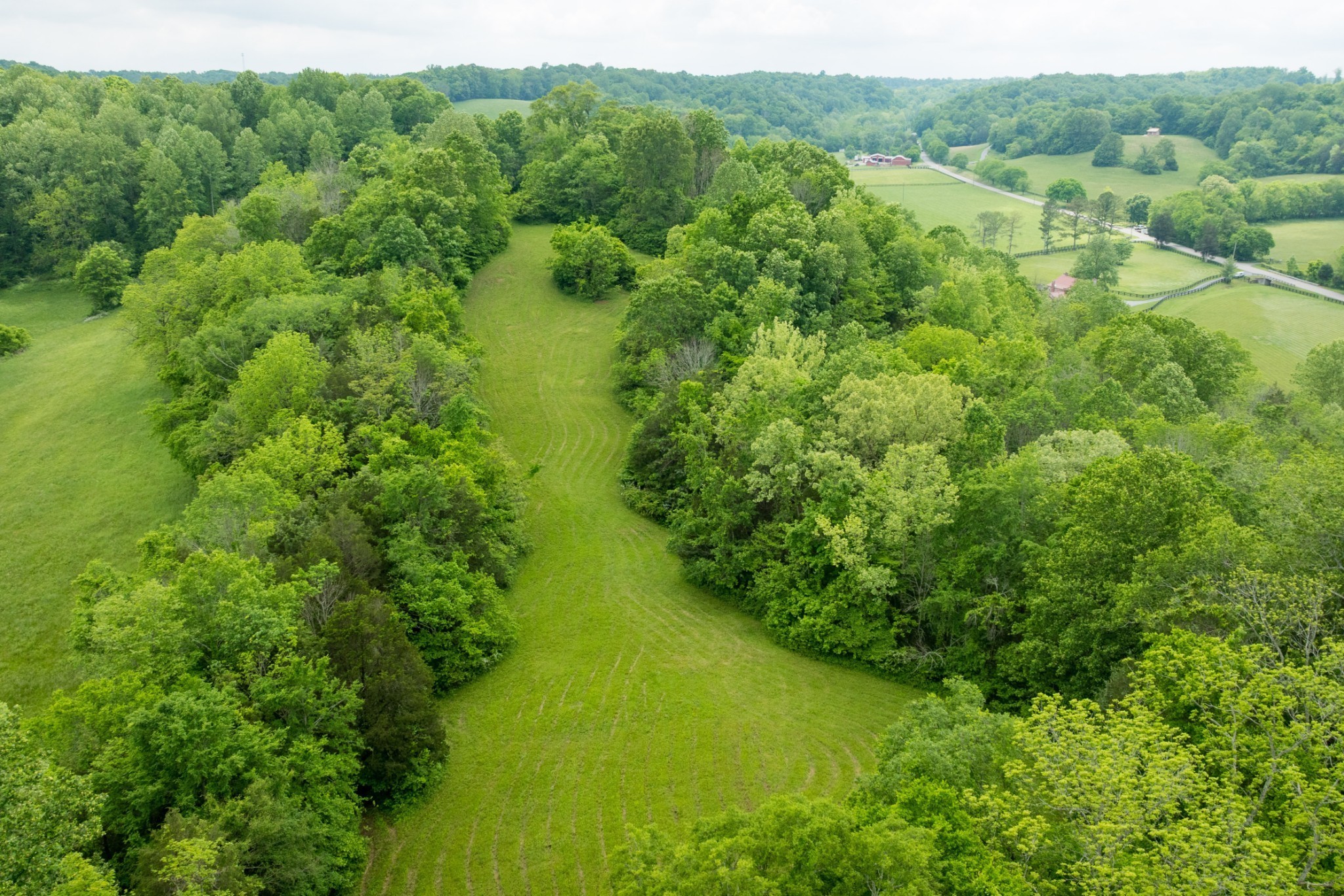 5620 Leipers Creek Road Franklin, TN 37064 - Photo 25 of 74