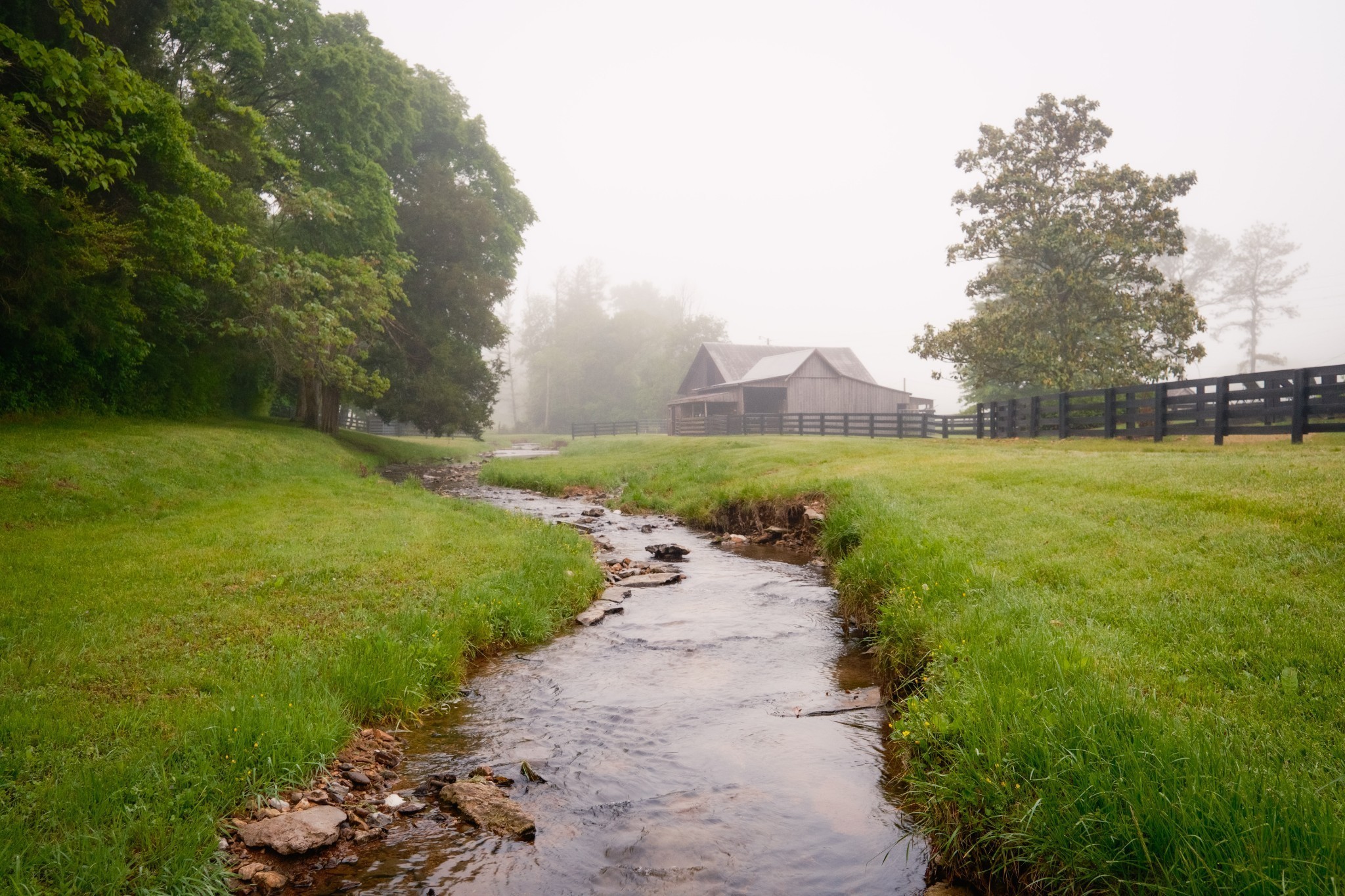 5620 Leipers Creek Road Franklin, TN 37064 - Photo 28 of 74 a view of a grassy area with an trees