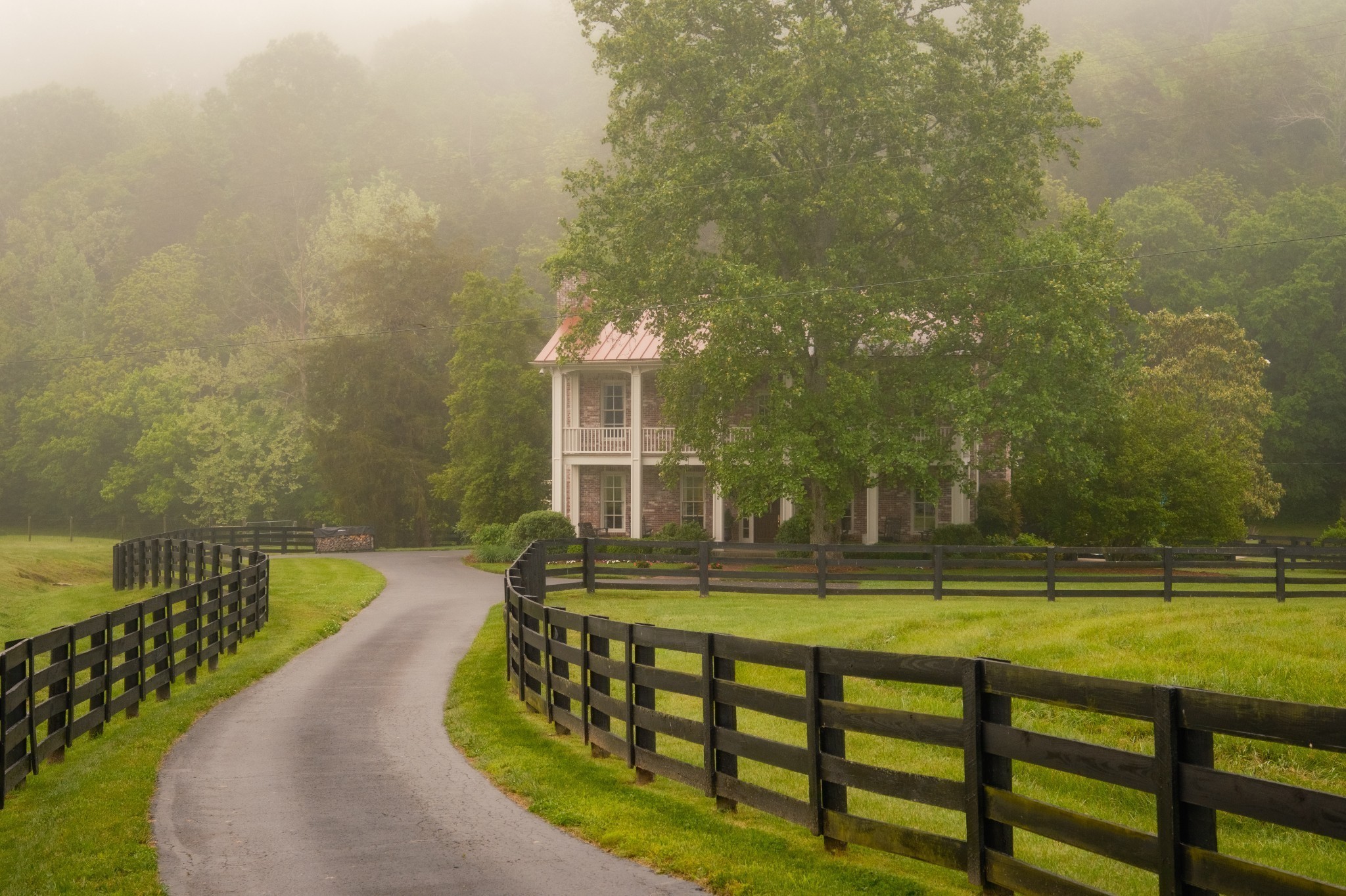 5620 Leipers Creek Road Franklin, TN 37064 - Photo 3 of 74 a view of swimming pool with lawn chairs and large trees
