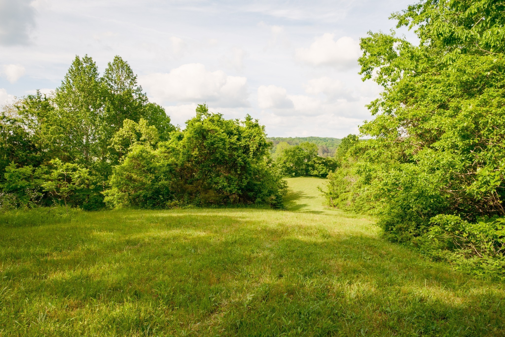 5620 Leipers Creek Road Franklin, TN 37064 - Photo 32 of 74