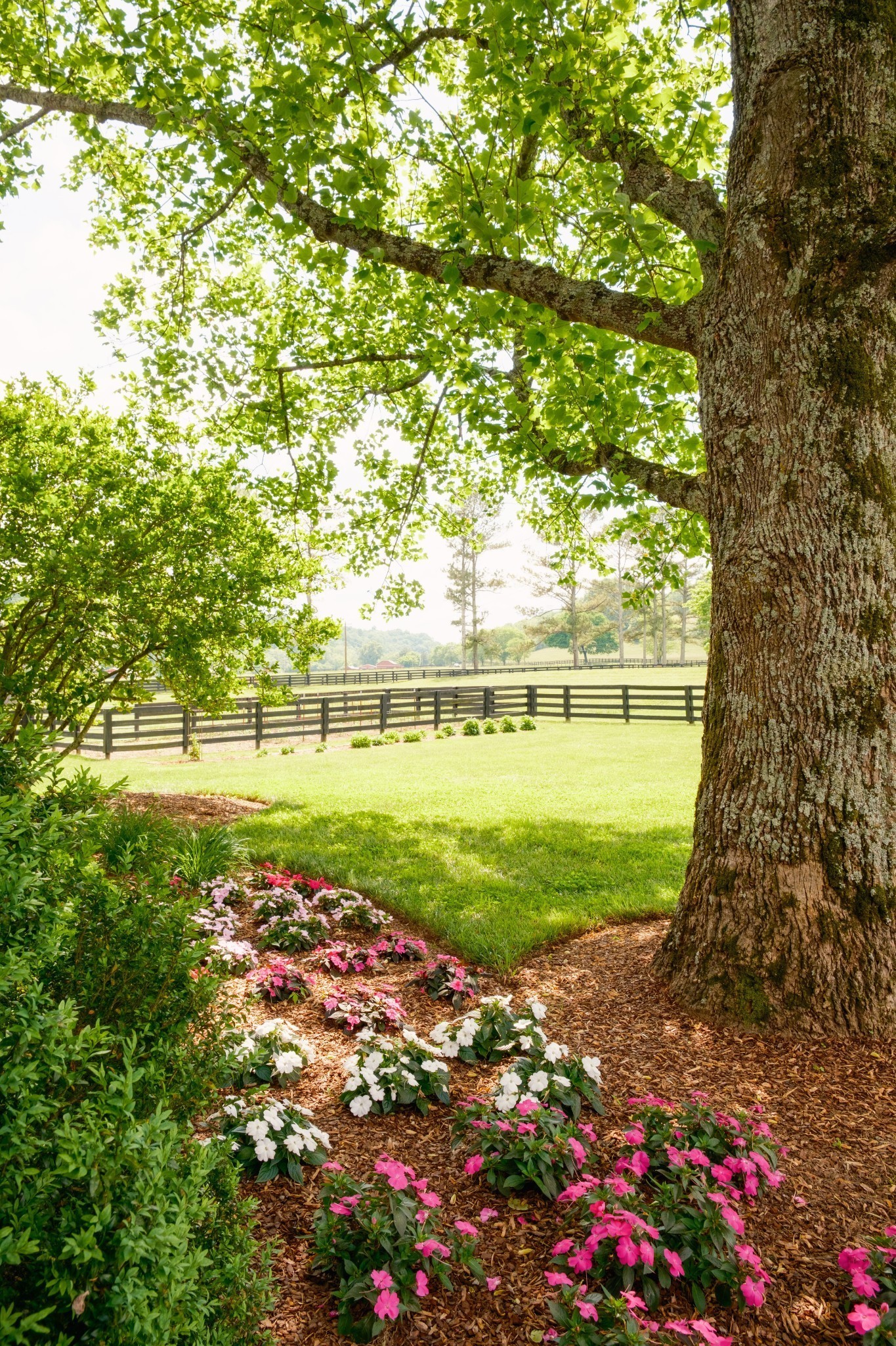 5620 Leipers Creek Road Franklin, TN 37064 - Photo 33 of 74 a view of outdoor space with deck and garden