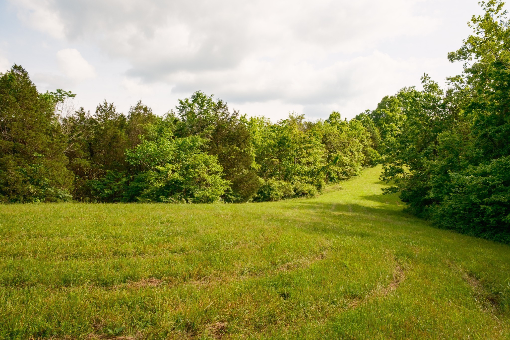 5620 Leipers Creek Road Franklin, TN 37064 - Photo 35 of 74