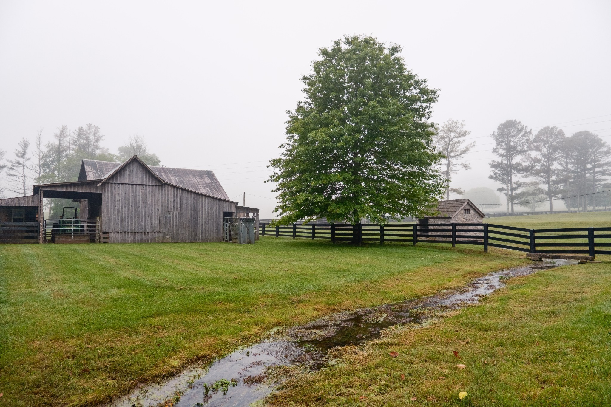 5620 Leipers Creek Road Franklin, TN 37064 - Photo 36 of 74 a view of a backyard with wooden fence