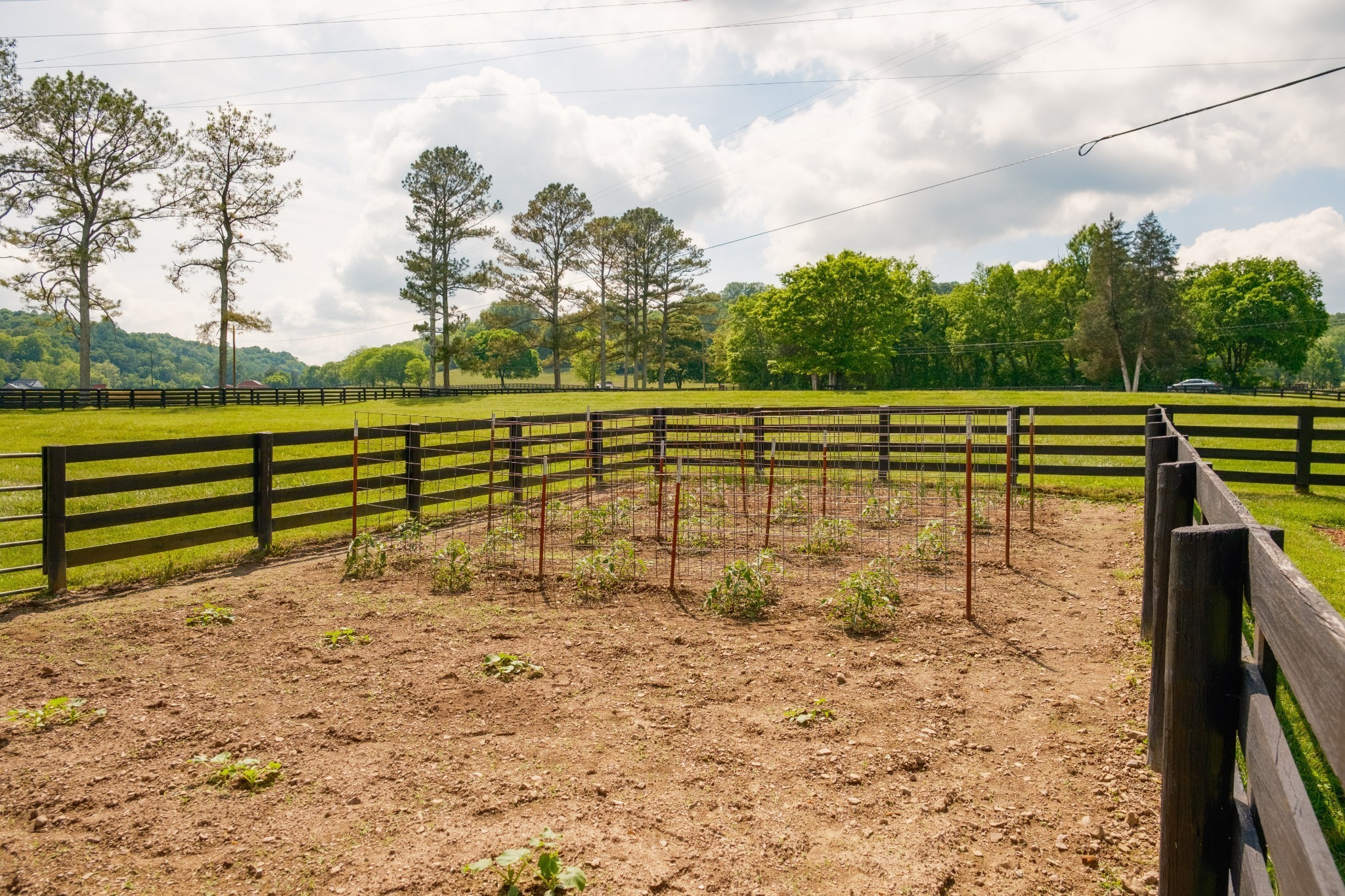 5620 Leipers Creek Road Franklin, TN 37064 - Photo 37 of 74