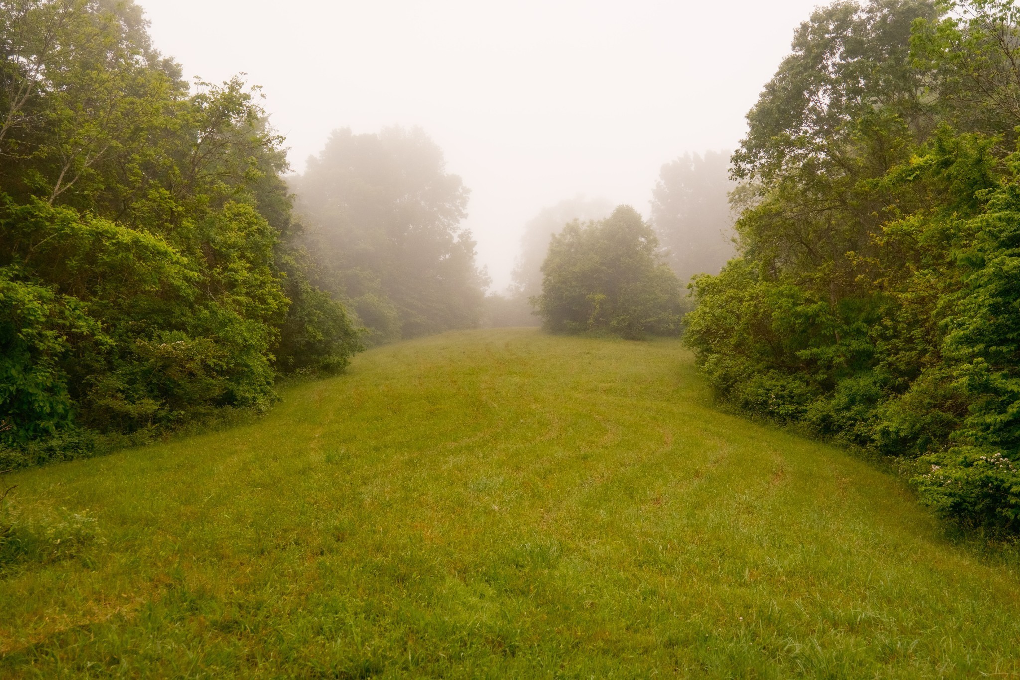 5620 Leipers Creek Road Franklin, TN 37064 - Photo 64 of 74