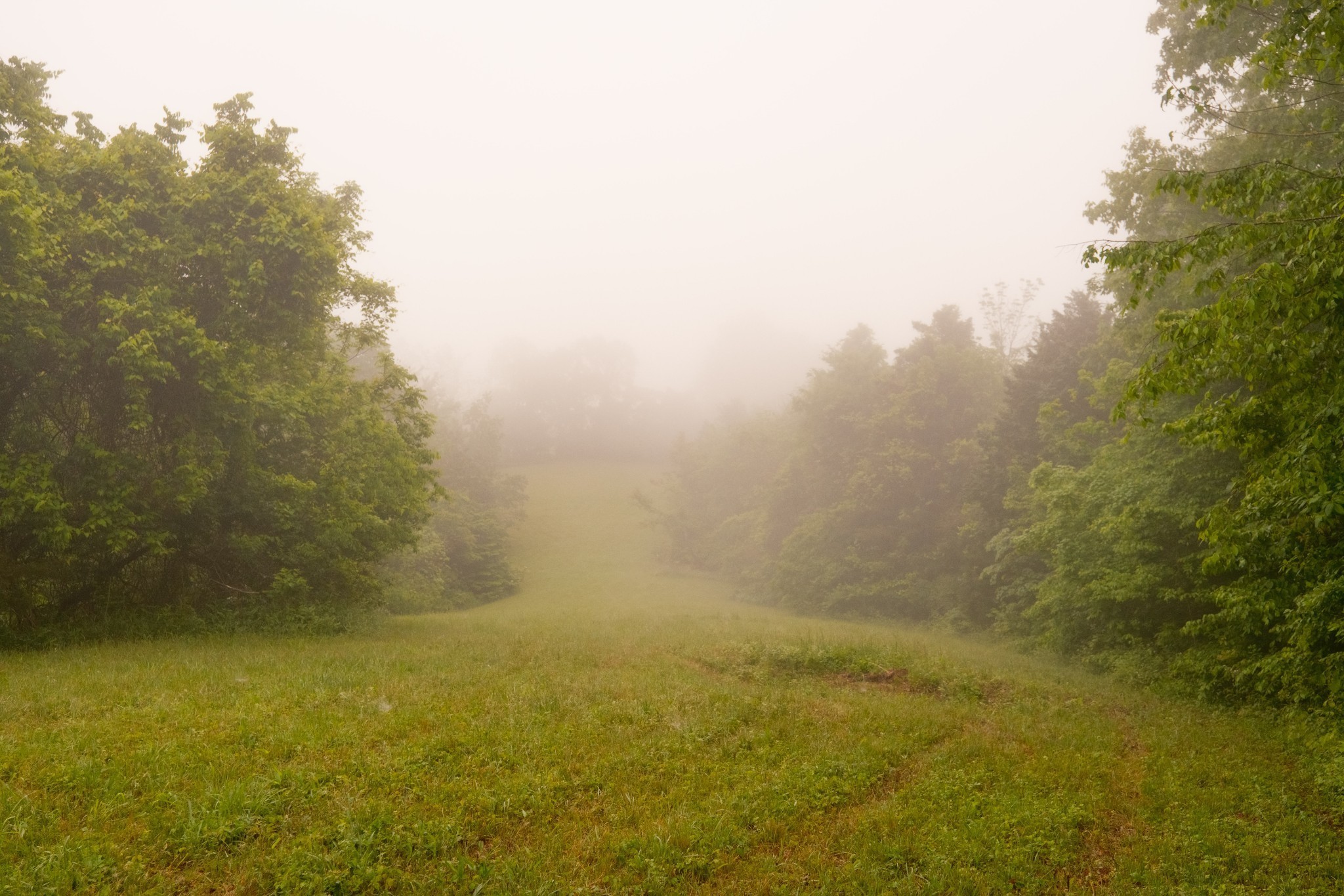 5620 Leipers Creek Road Franklin, TN 37064 - Photo 65 of 74 a view of beach and small space