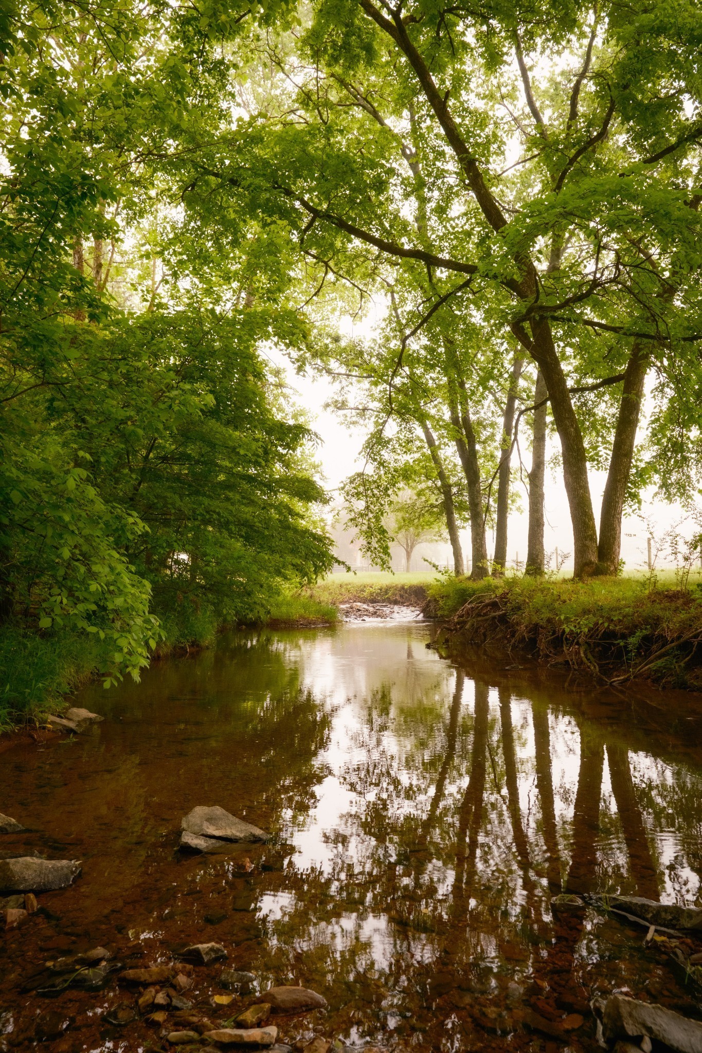 5620 Leipers Creek Road Franklin, TN 37064 - Photo 66 of 74