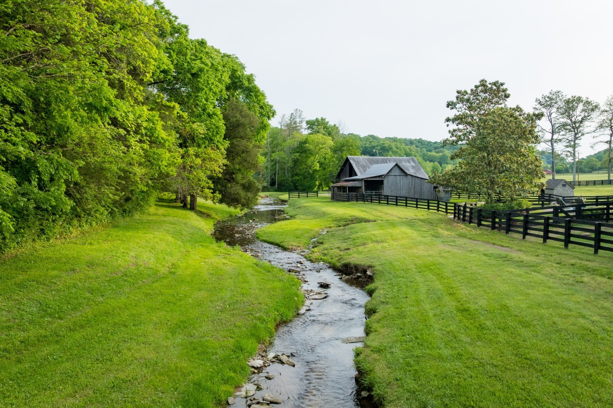 5620 Leipers Creek Road Franklin, TN 37064 - Photo 8 of 74 a view of a backyard with swimming pool