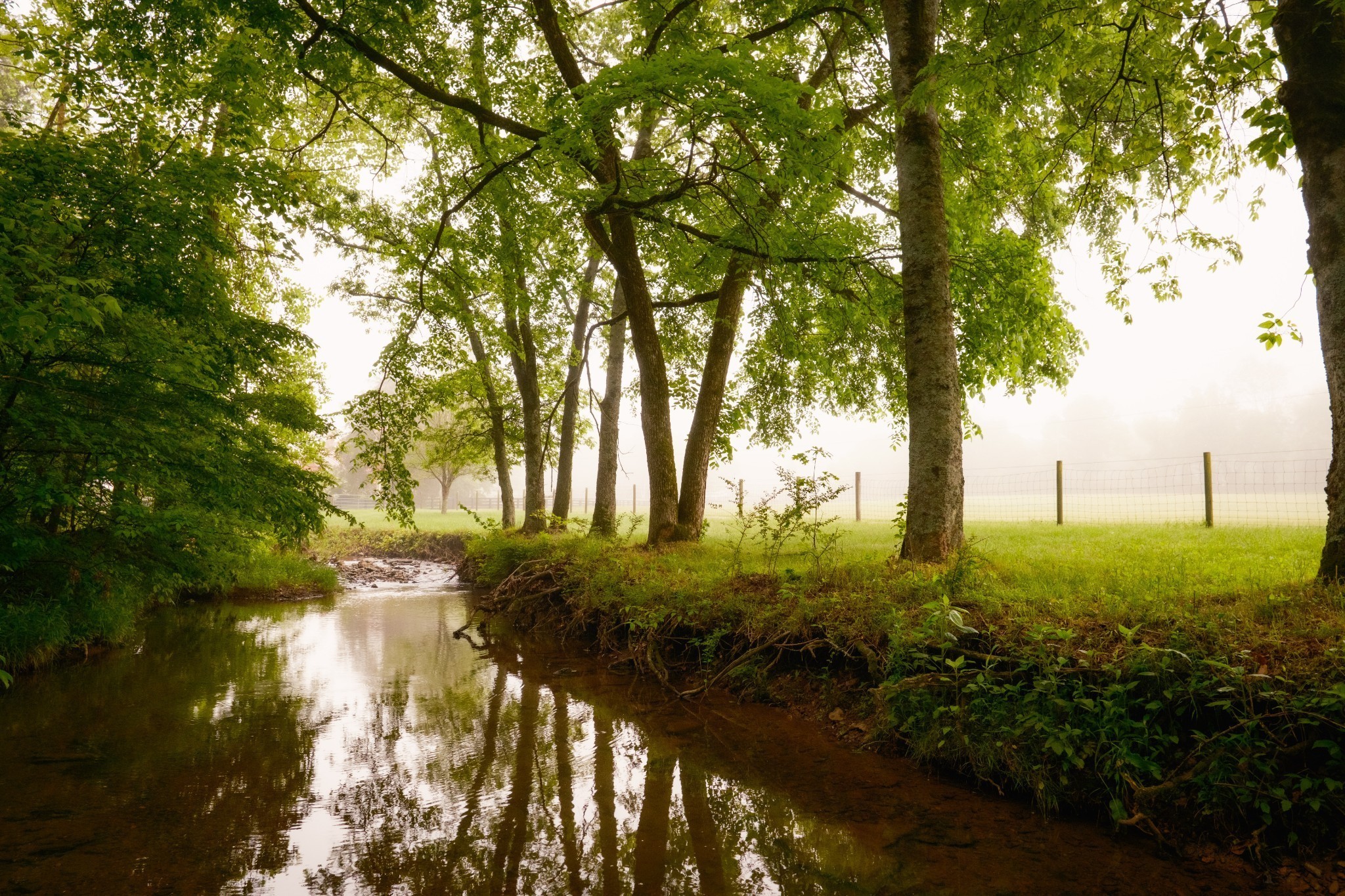 5620 Leipers Creek Road Franklin, TN 37064 - Photo 9 of 74