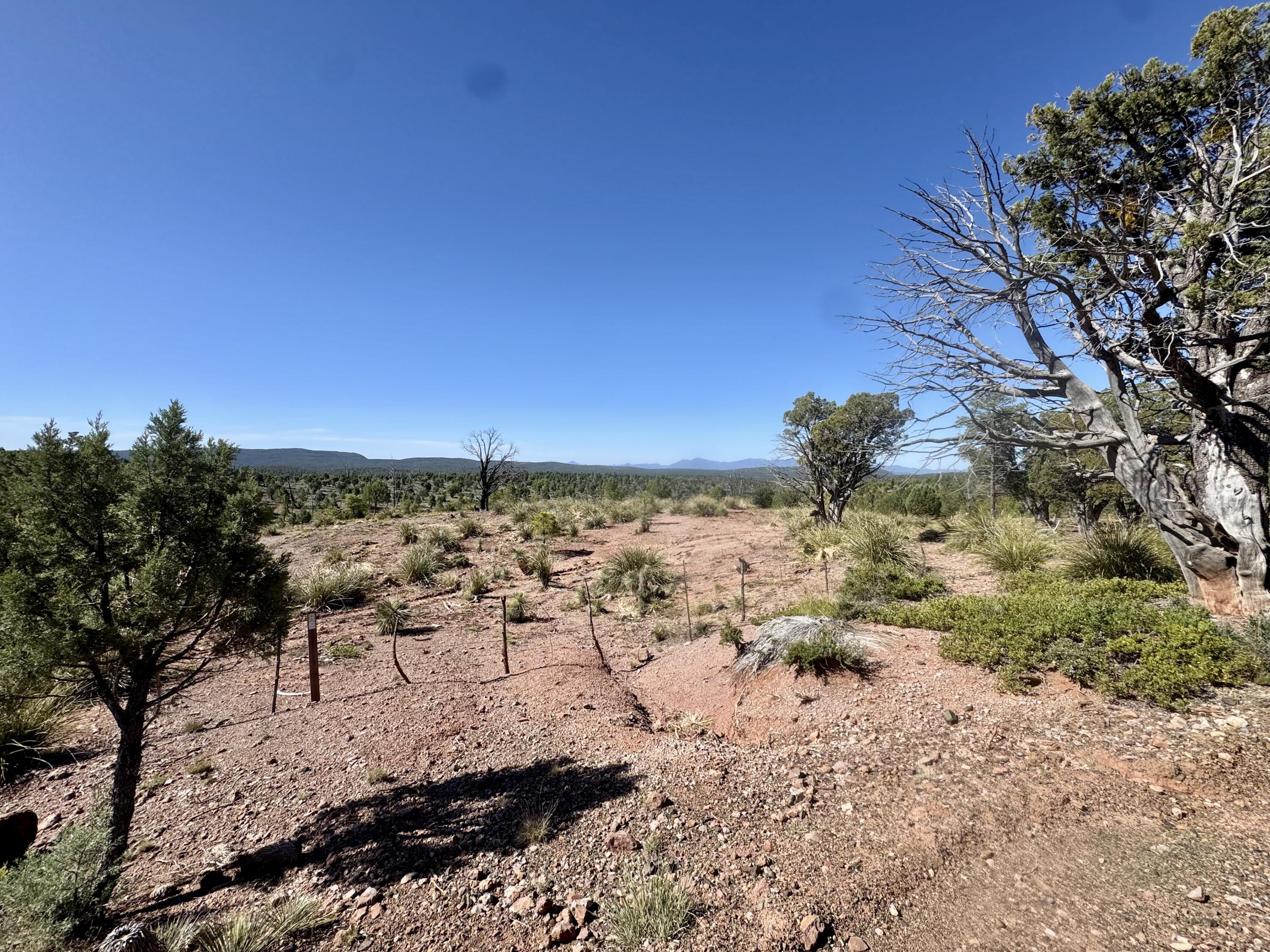 744 Antelope Trail Road Payson, AZ 85541 - Photo 3 of 6 a view of a city