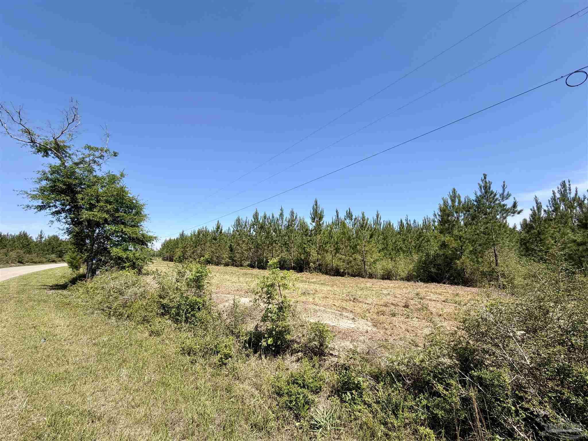 0 Mineral Springs Road Jay, FL 32565 - Photo 2 of 10 a view of a field with trees in the background