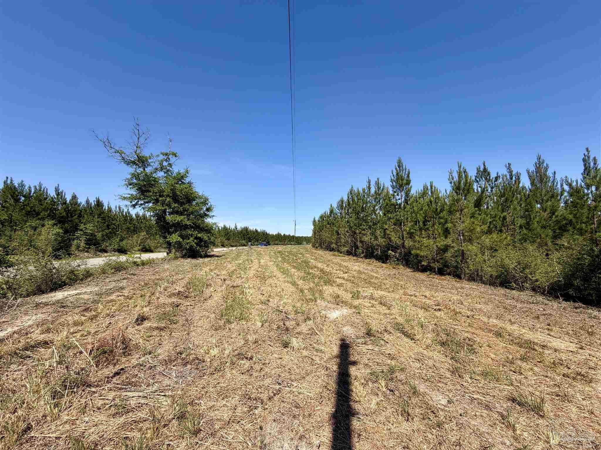 0 Mineral Springs Road Jay, FL 32565 - Photo 3 of 10 a view of a backyard of the house