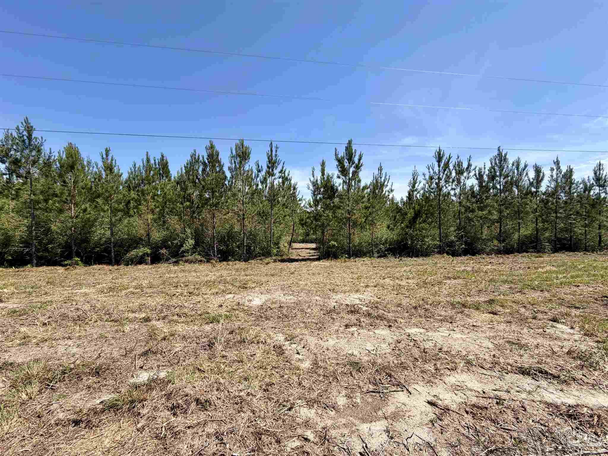 0 Mineral Springs Road Jay, FL 32565 - Photo 4 of 10 a view of dirt field with trees in background