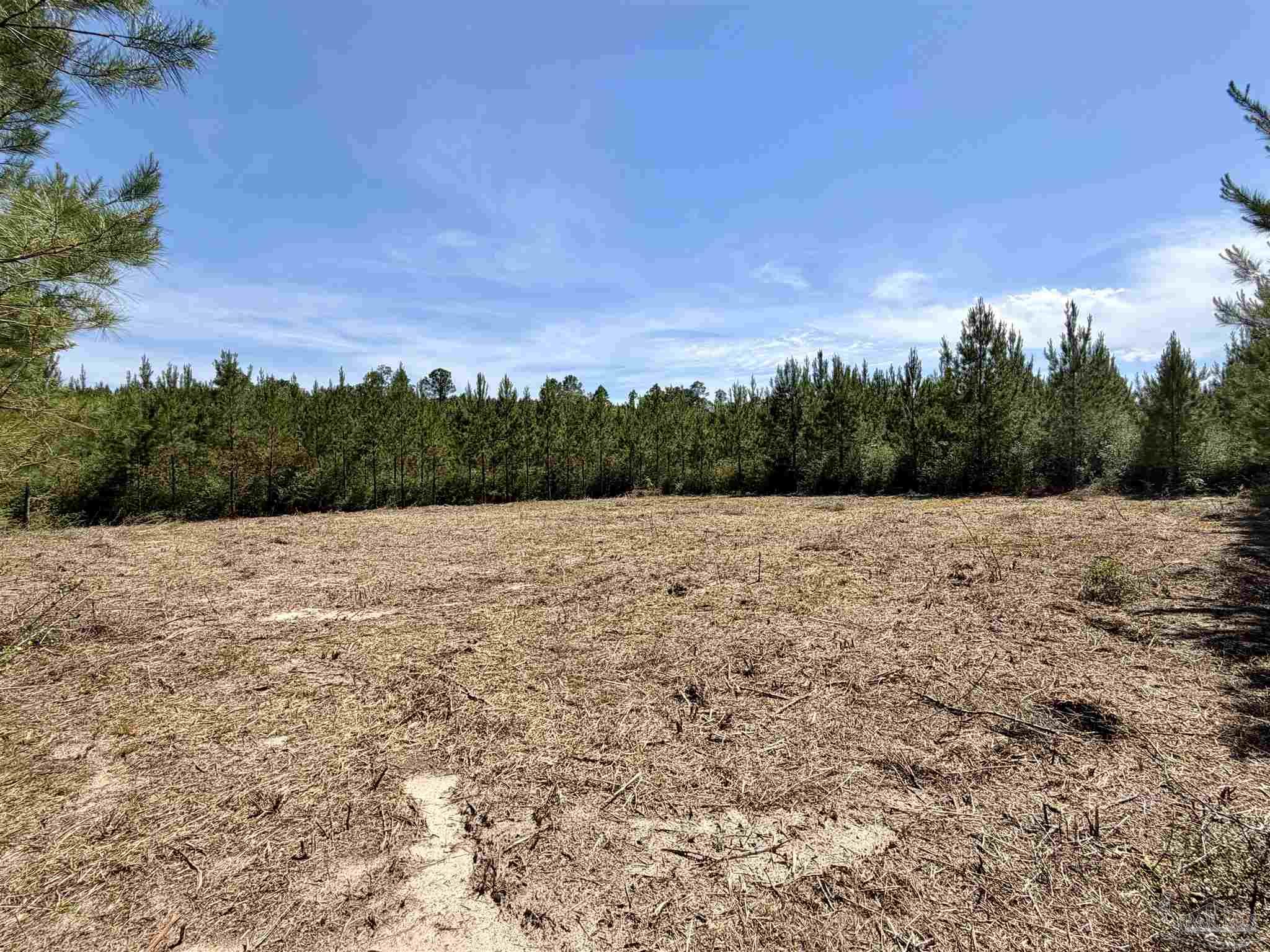 0 Mineral Springs Road Jay, FL 32565 - Photo 7 of 10 a view of mountain with lake view