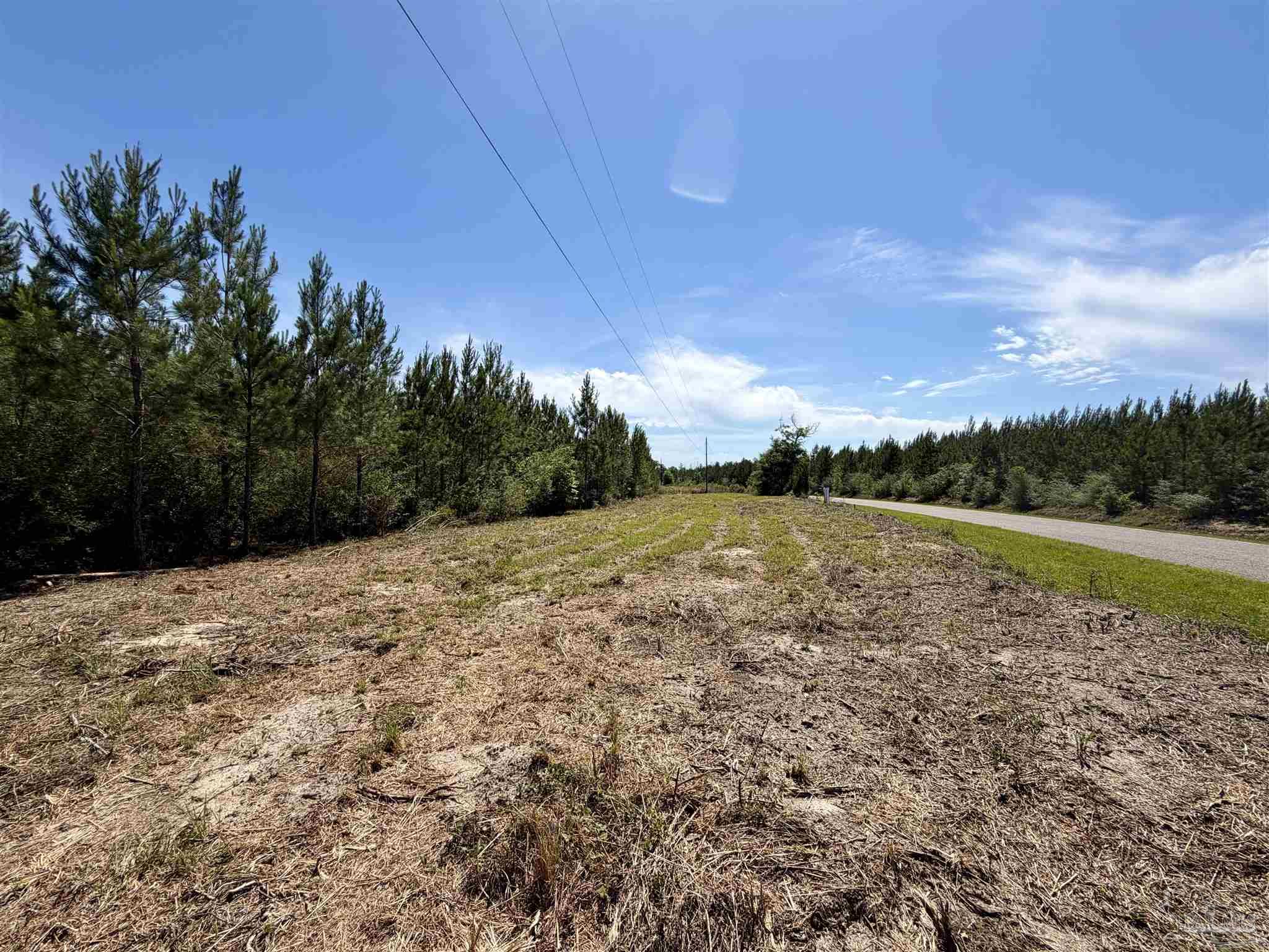 0 Mineral Springs Road Jay, FL 32565 - Photo 9 of 10