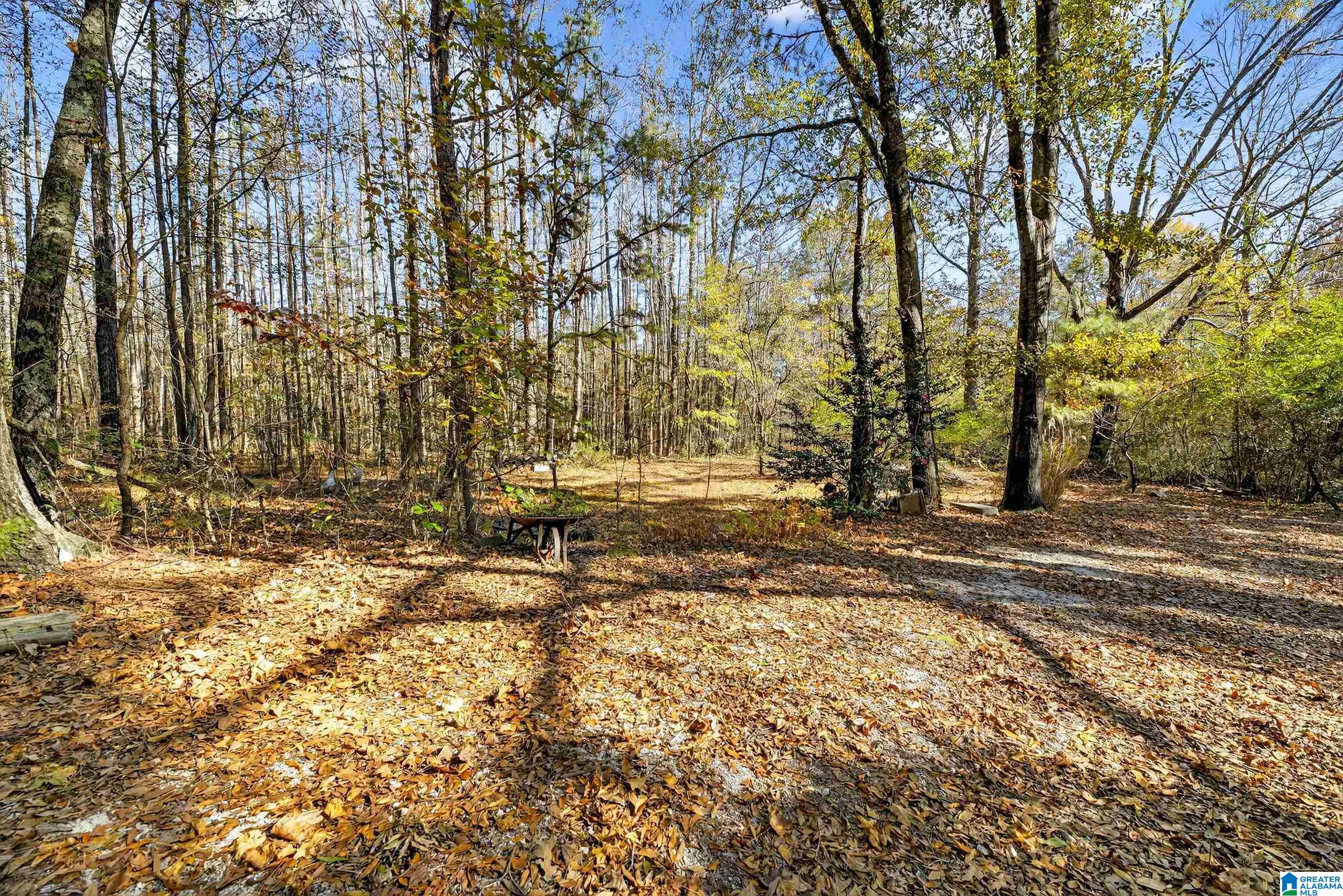 206 Pruitt Road Piedmont, AL 36272 - Photo 23 of 28