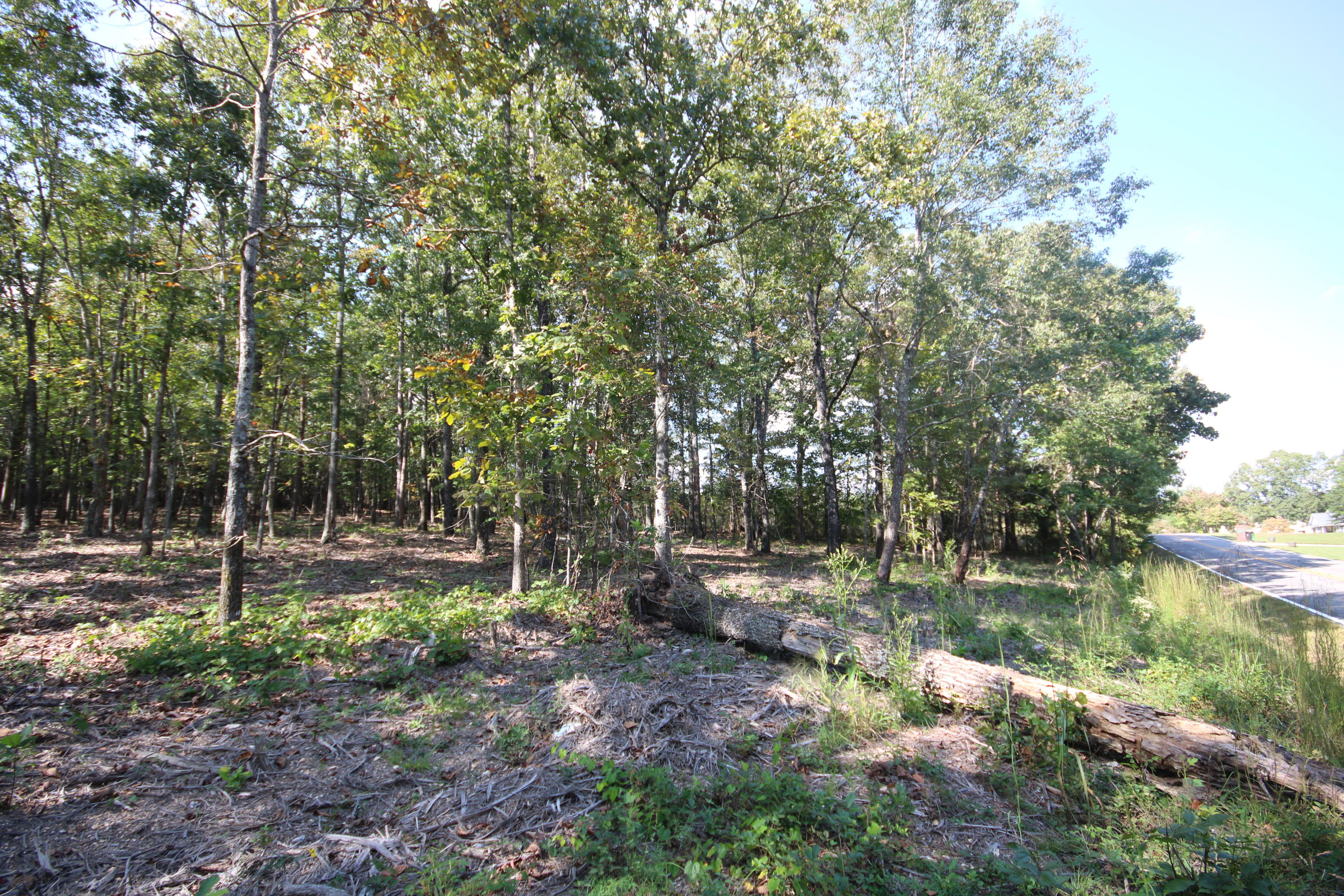 10063 Sims-Harris Road, Unit LOT #16 Ooltewah, TN 37363 - Photo 3 of 8 IMG_5642