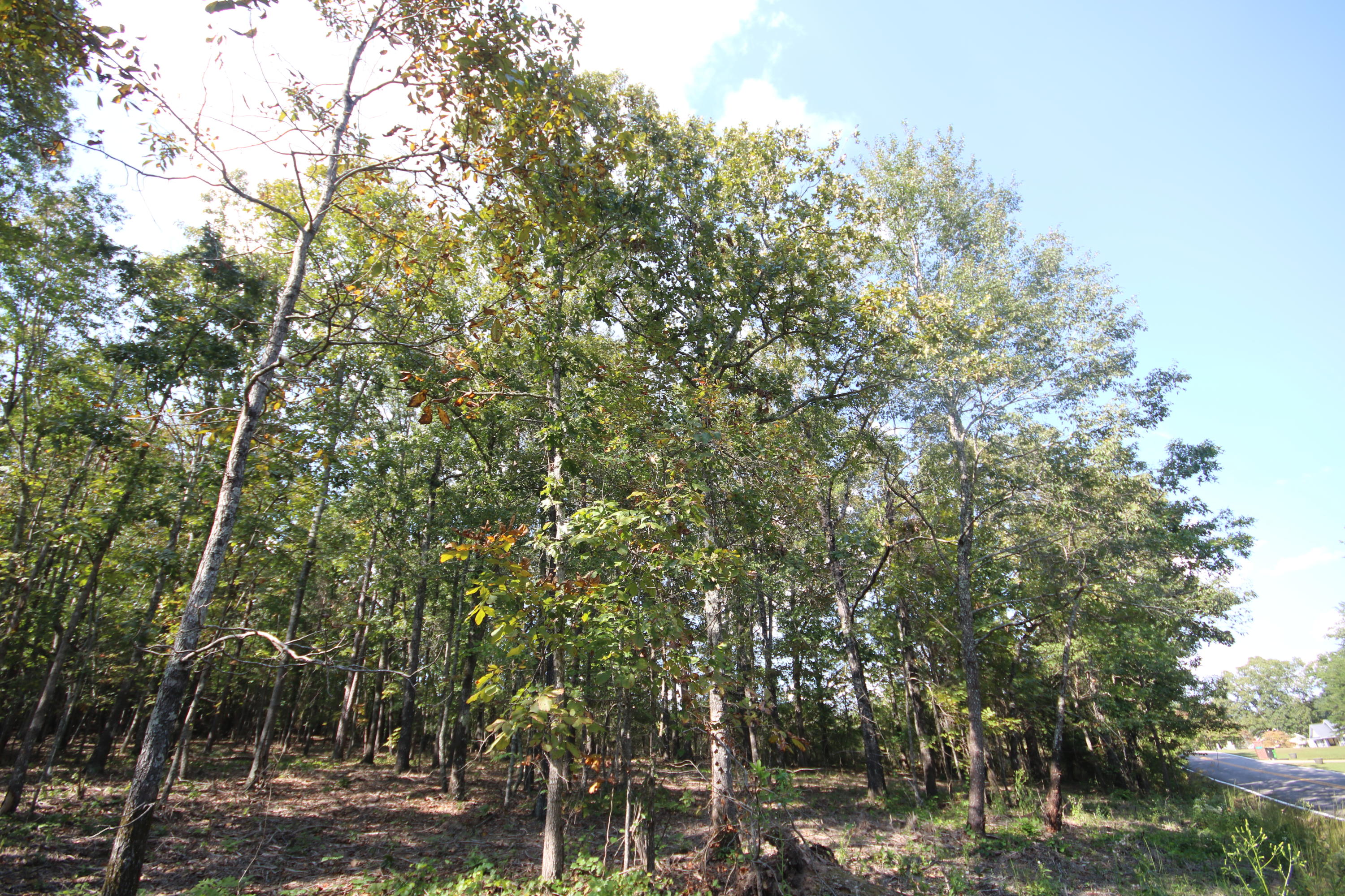 10063 Sims-Harris Road, Unit LOT #16 Ooltewah, TN 37363 - Photo 8 of 8 IMG_5649