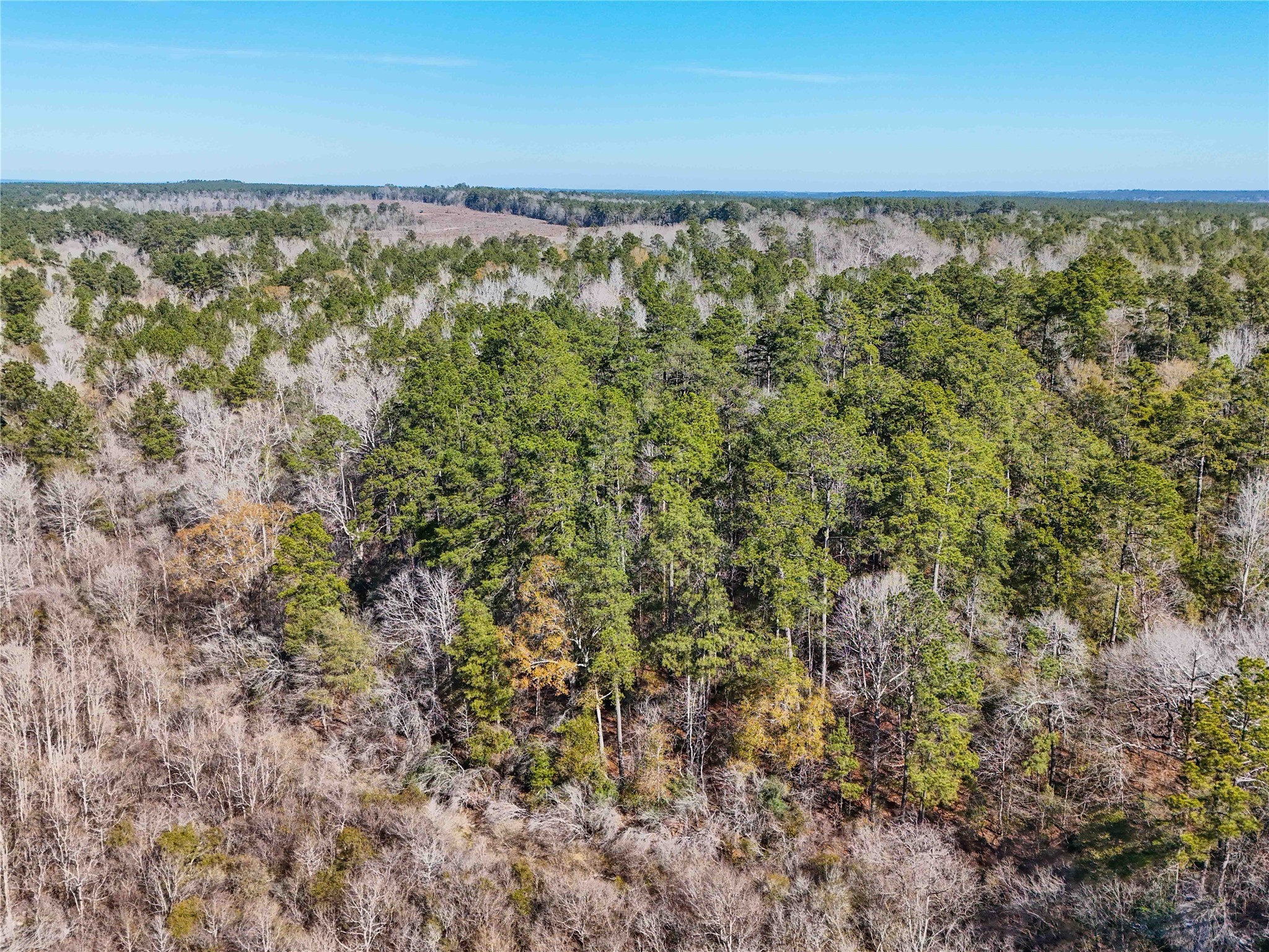 0 Pvt Road Newton, TX 75966 - Photo 11 of 26 a view of an ocean from a yard