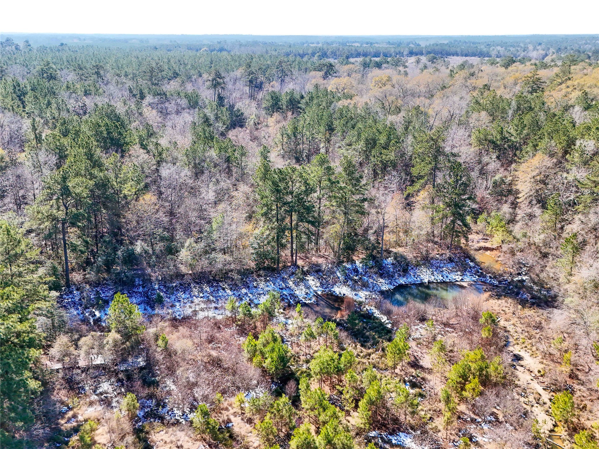 0 Pvt Road Newton, TX 75966 - Photo 14 of 26 a view of a yard with a tree