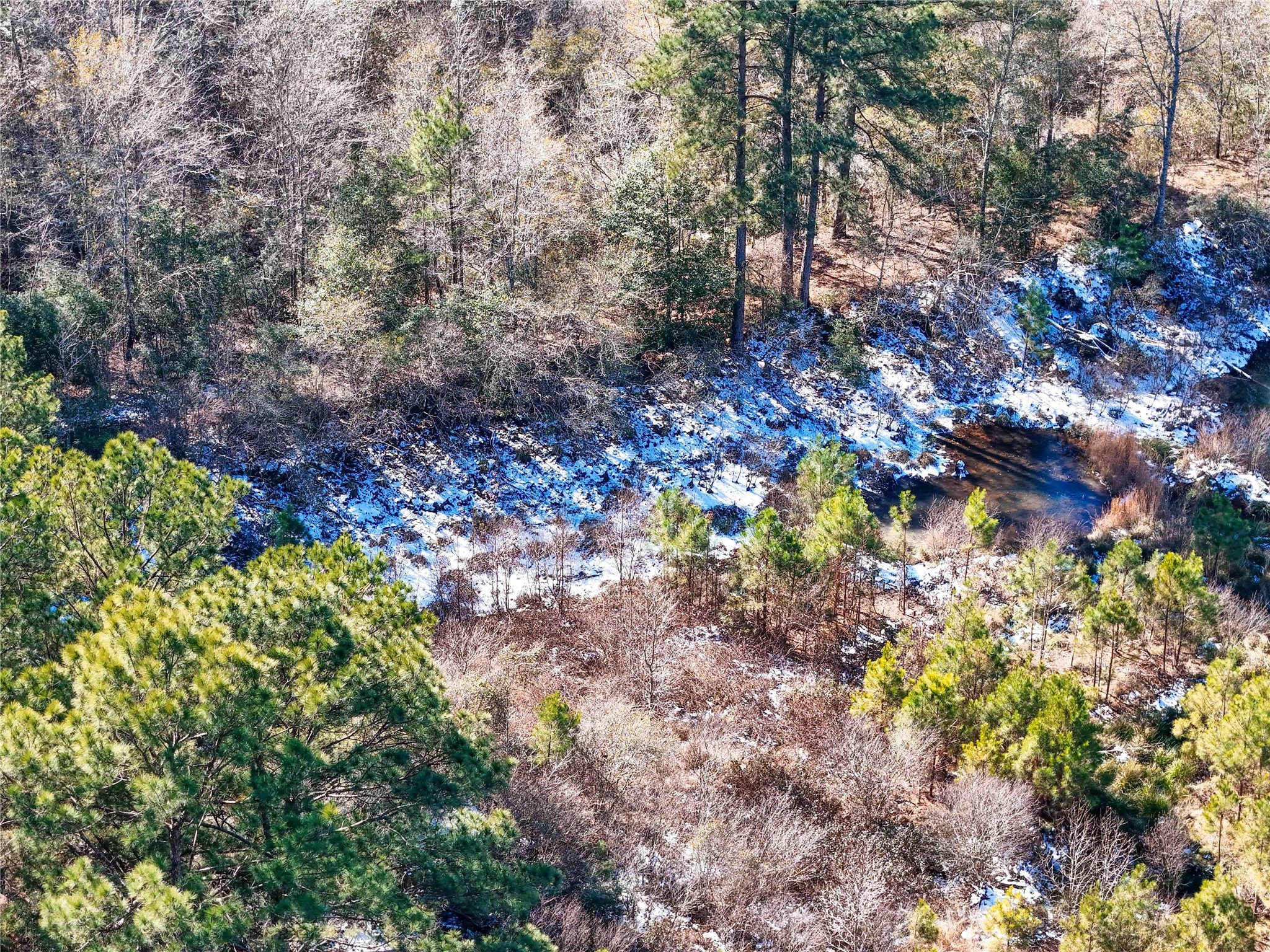 0 Pvt Road Newton, TX 75966 - Photo 15 of 26 a backyard of a house with a tree