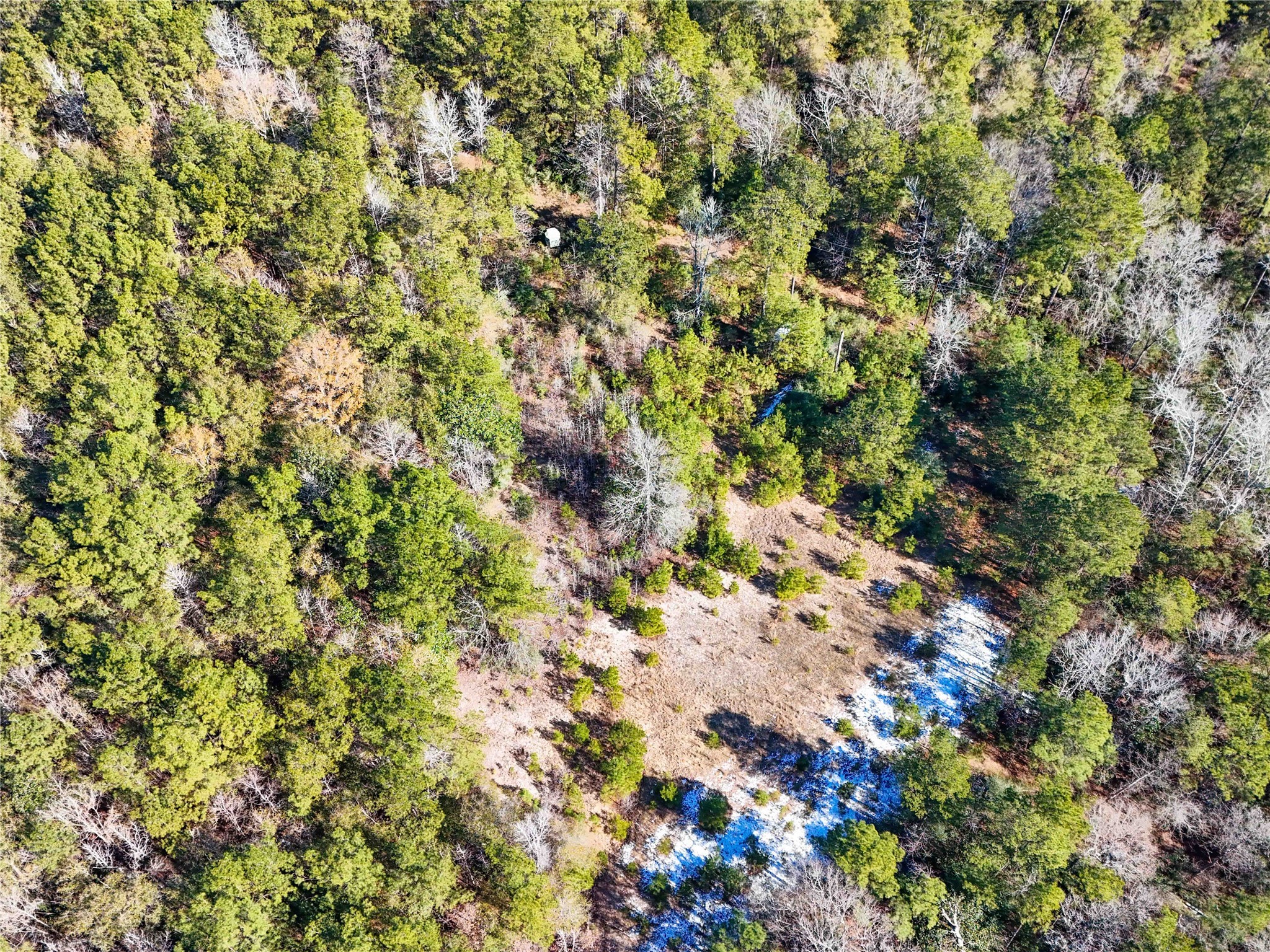 0 Pvt Road Newton, TX 75966 - Photo 18 of 26