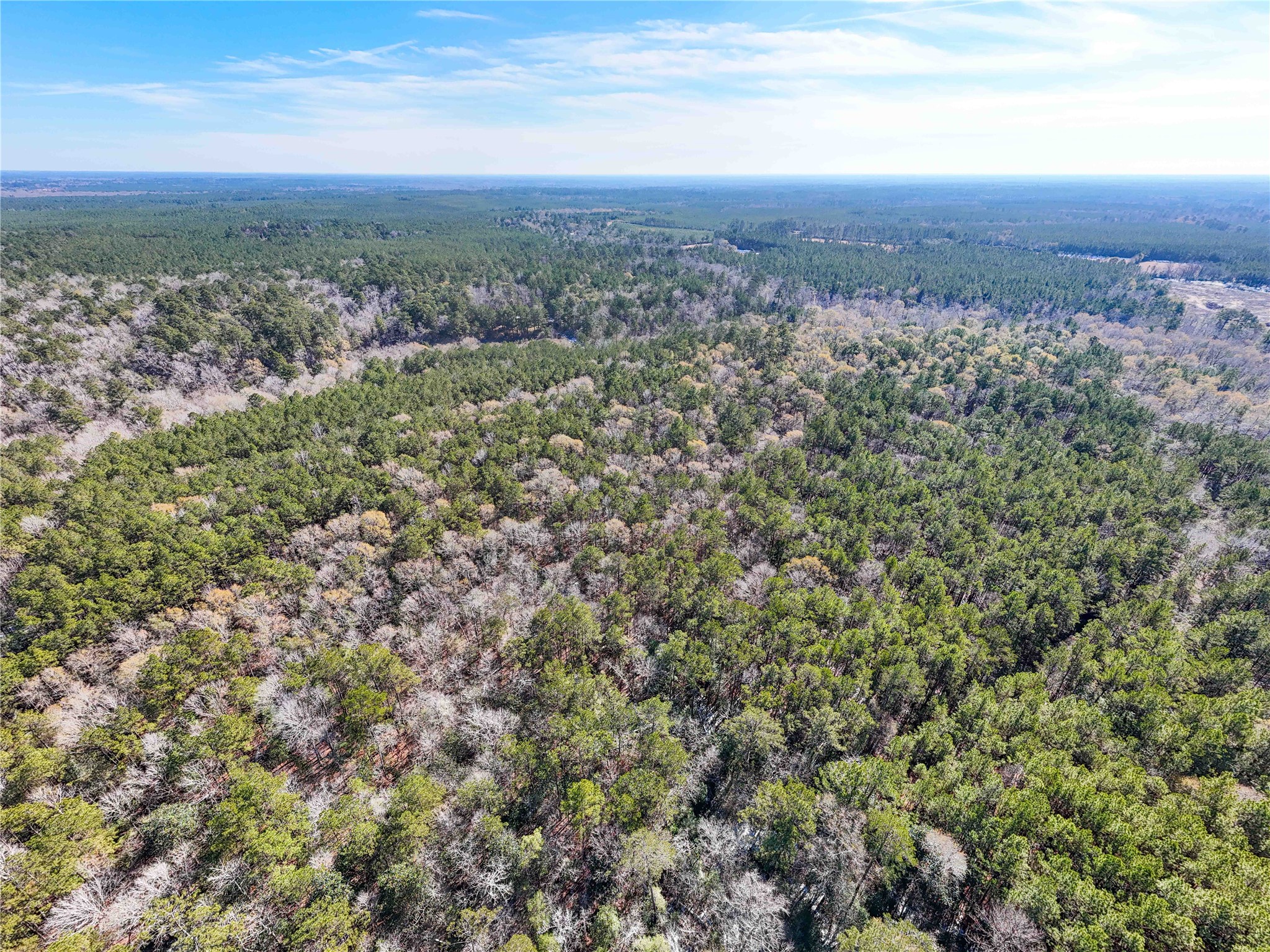 0 Pvt Road Newton, TX 75966 - Photo 20 of 26 a view of a city with lush green forest