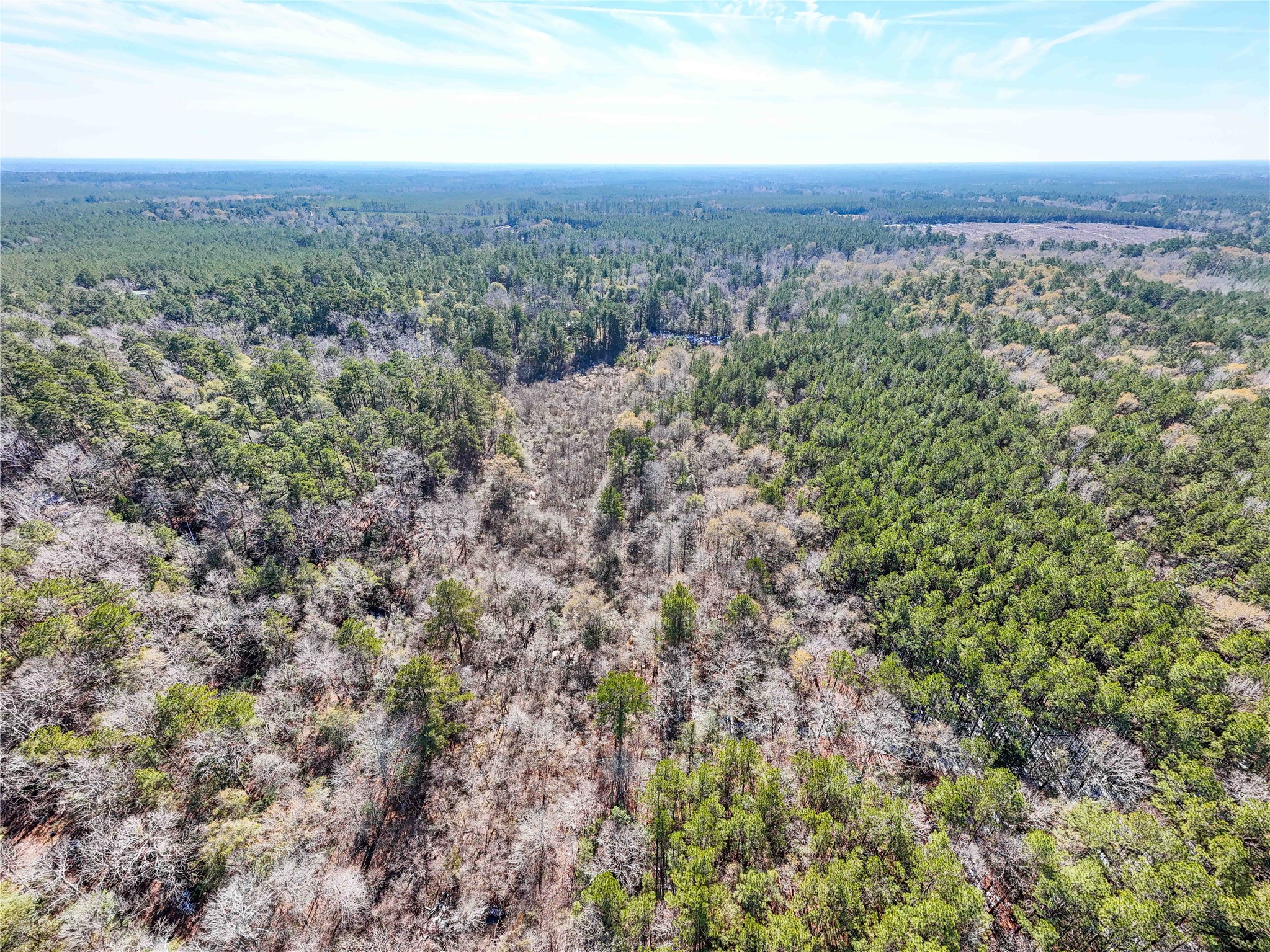 0 Pvt Road Newton, TX 75966 - Photo 21 of 26 a view of a green field with lots of bushes