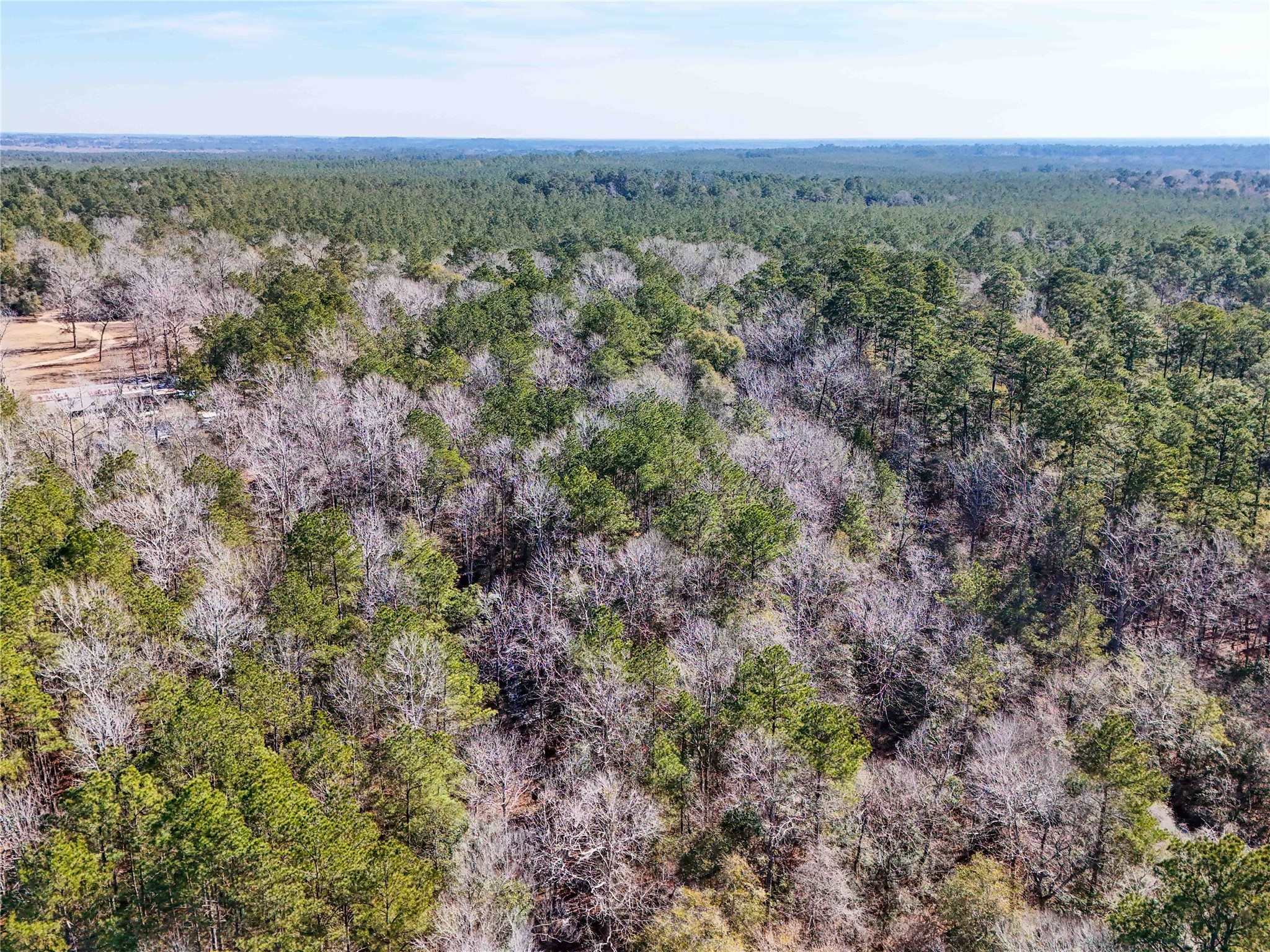 0 Pvt Road Newton, TX 75966 - Photo 22 of 26 a view of a city with lush green forest