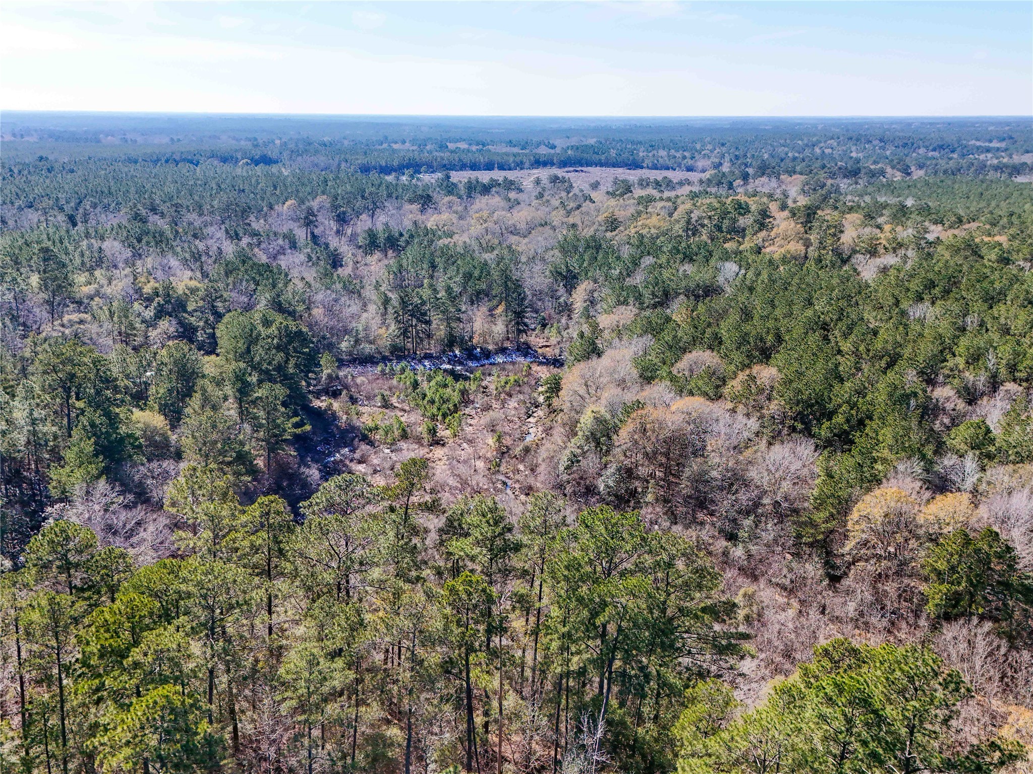0 Pvt Road Newton, TX 75966 - Photo 23 of 26 an aerial view of a houses with a lush green hillside