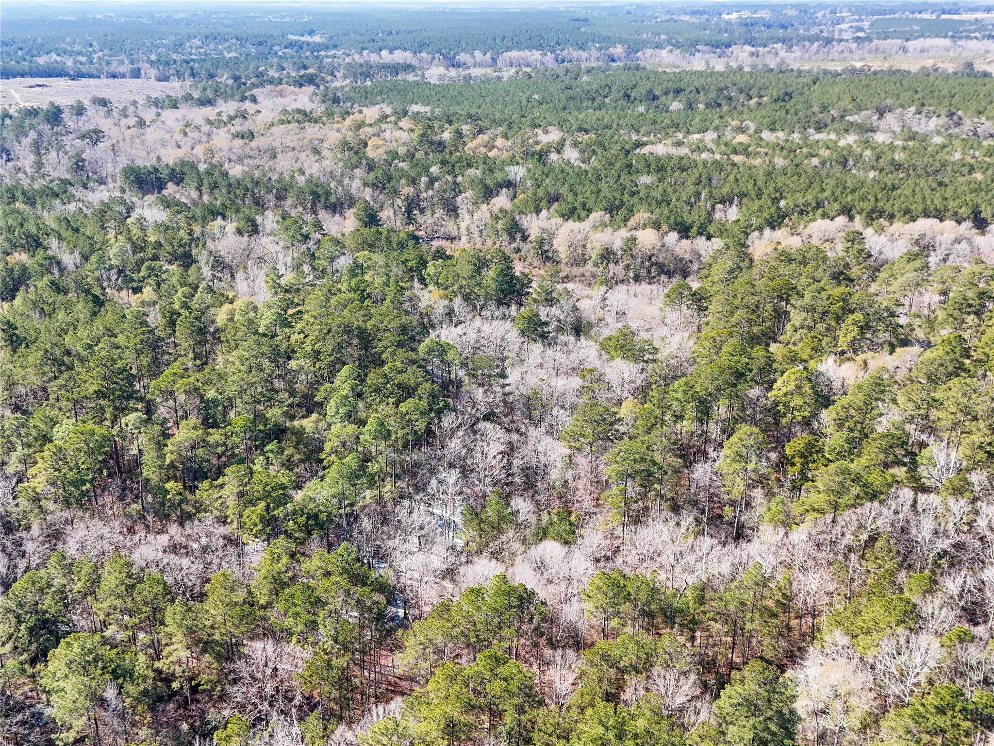 0 Pvt Road Newton, TX 75966 - Photo 24 of 26 a view of a city