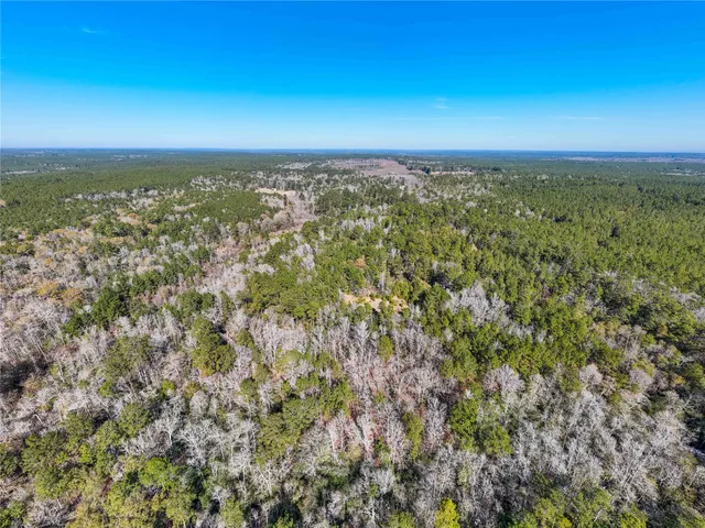 an aerial view of residential houses with outdoor space and trees