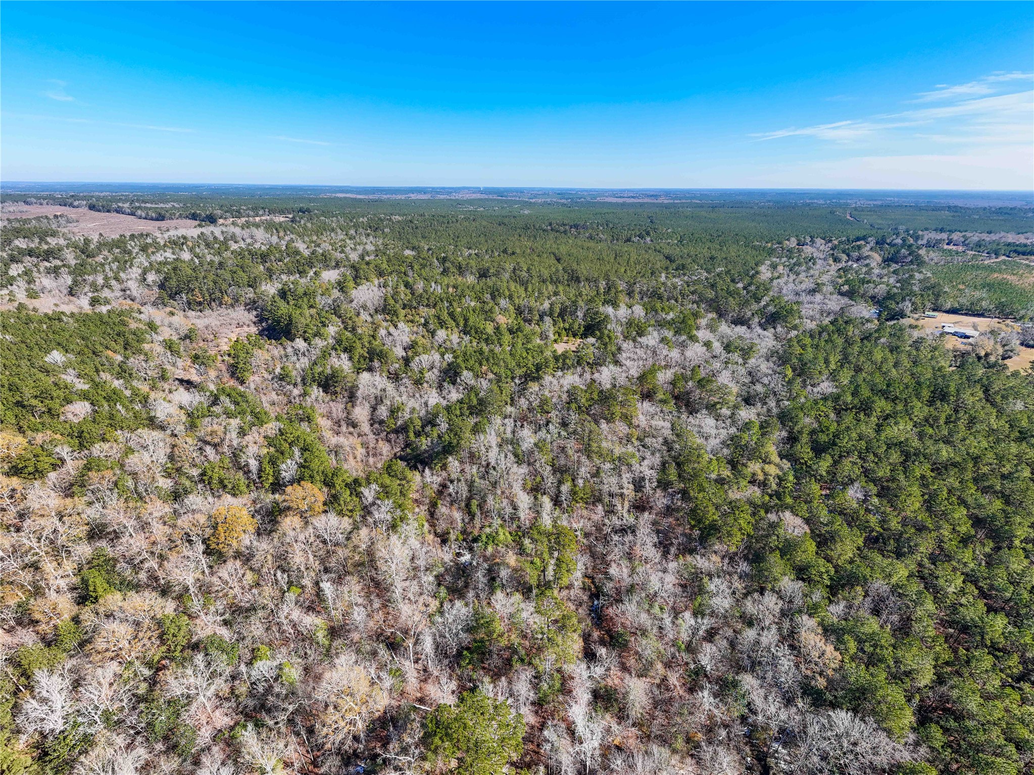 0 Pvt Road Newton, TX 75966 - Photo 5 of 26 an aerial view of a city