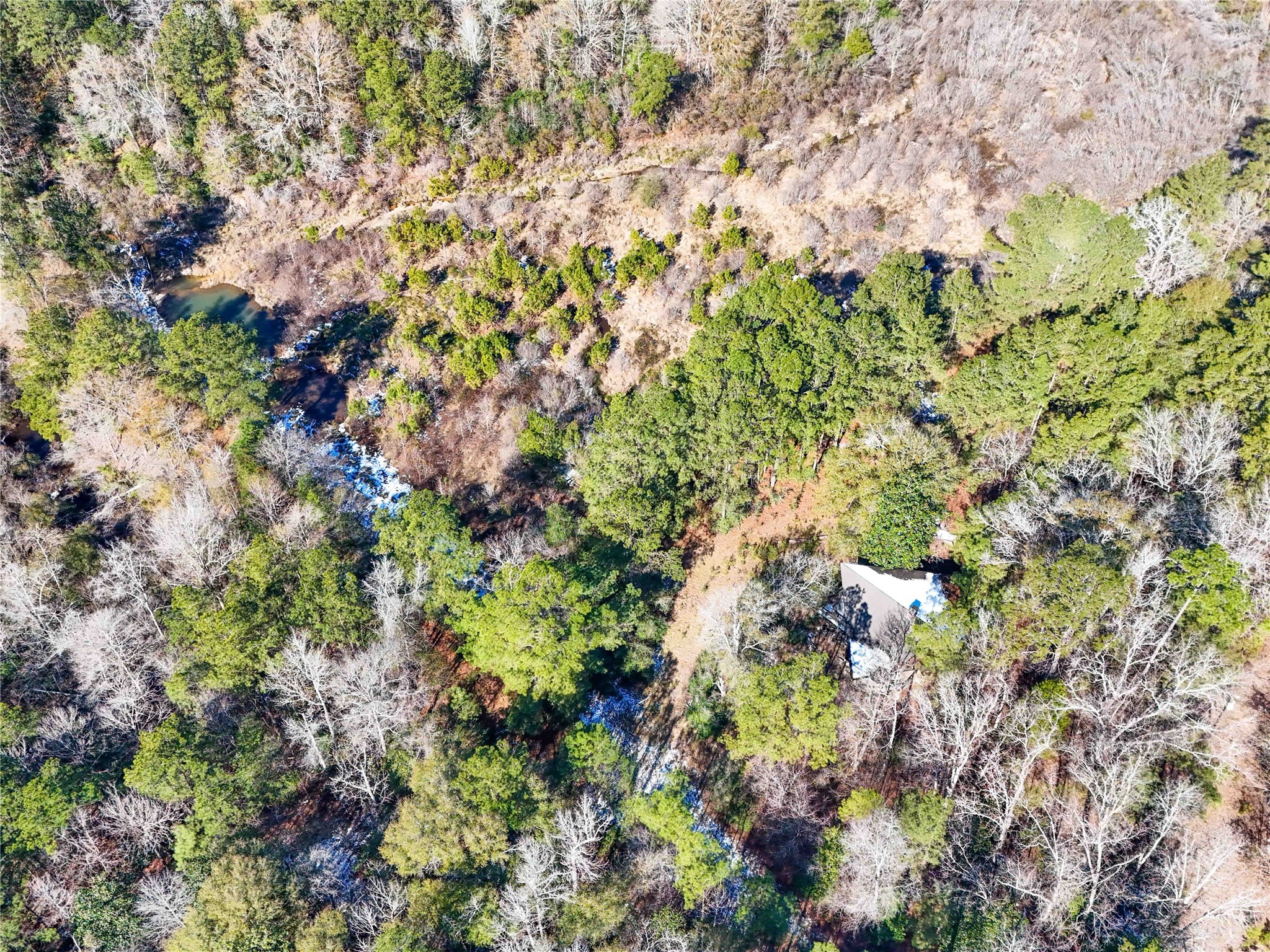 0 Pvt Road Newton, TX 75966 - Photo 7 of 26 a view of a tree
