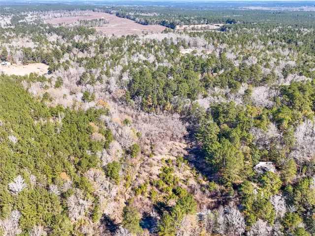 a view of a yard with some trees
