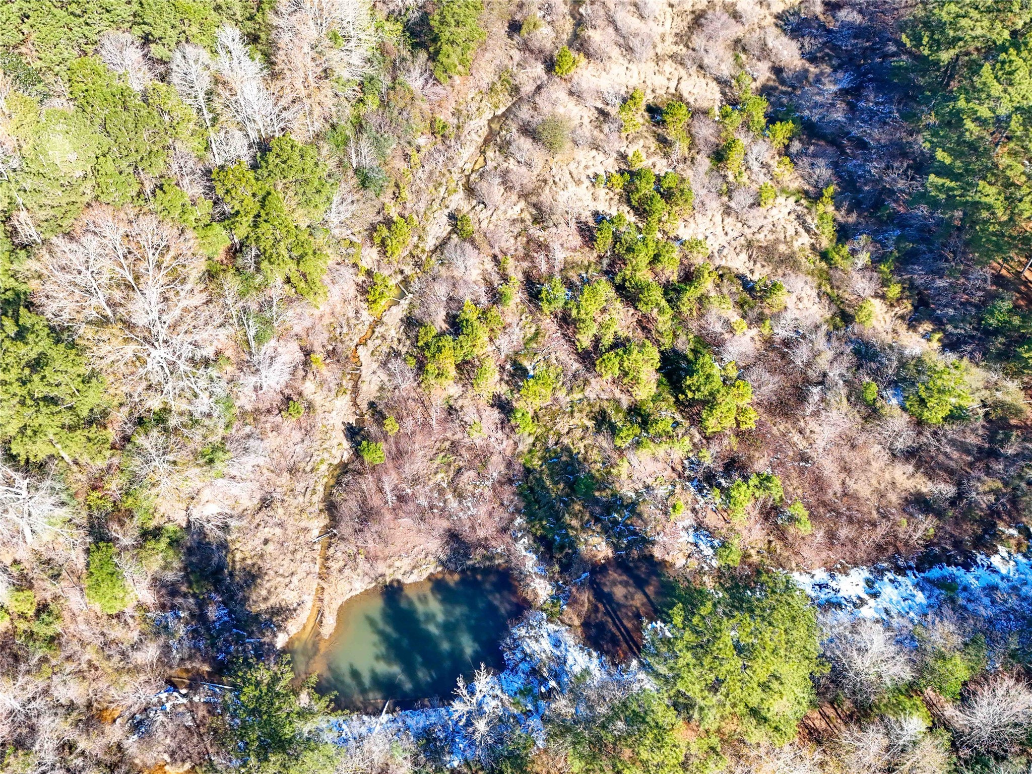 0 Pvt Road Newton, TX 75966 - Photo 10 of 26 a backyard of a house