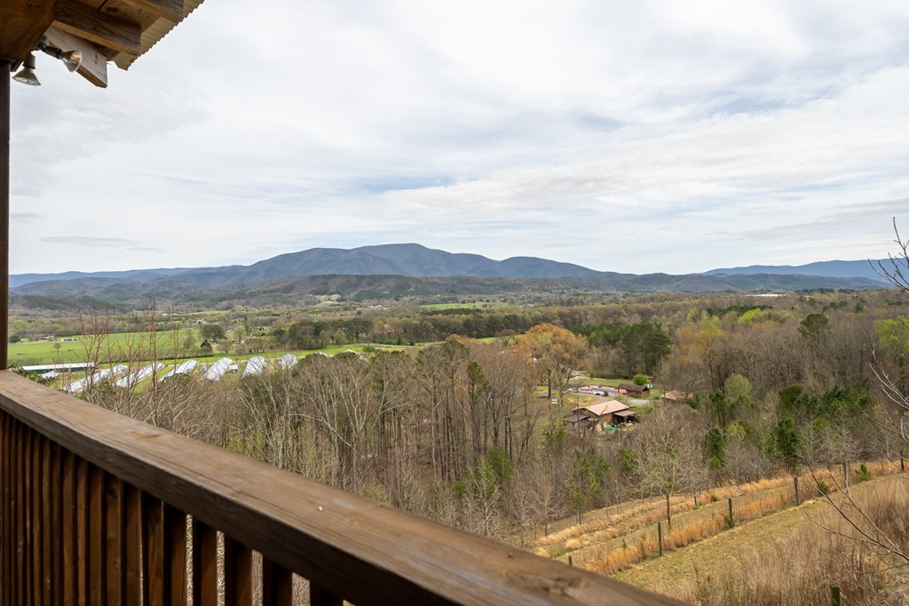 540 Plemons Road Chatsworth, GA 30705 - Photo 8 of 62 a view of lake with mountain
