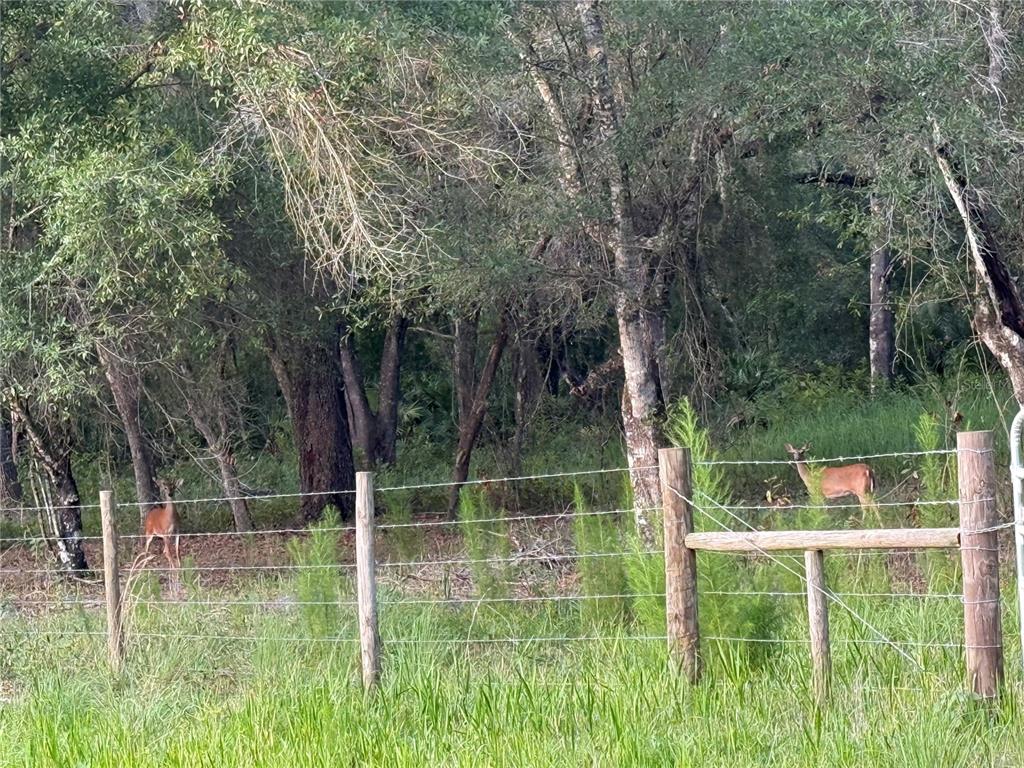 Southeast Brown Road Arcadia, FL 34266 - Photo 7 of 18