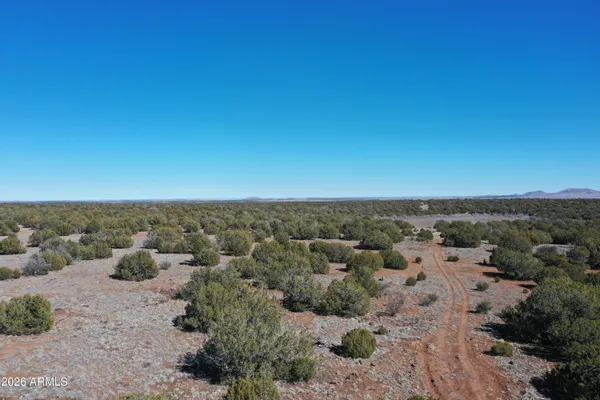 a view of a field with some trees in it