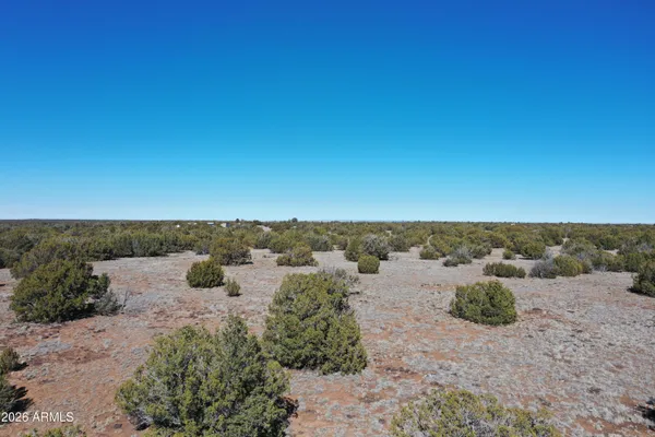 a view of a dry yard with trees in the background