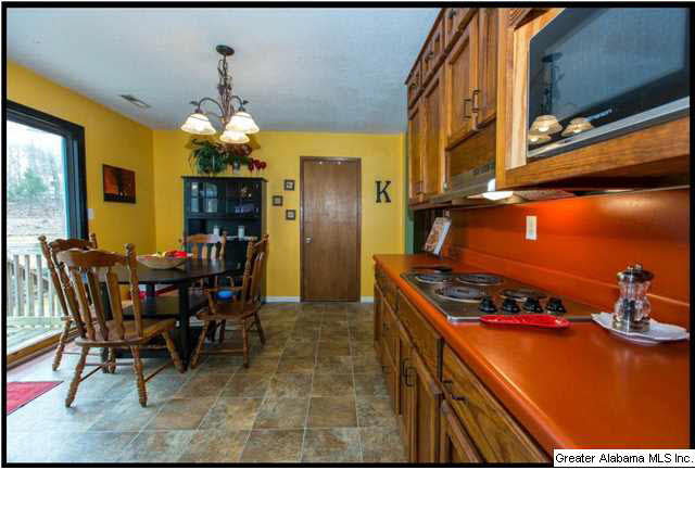 201 Canoe Creek Road Springville, AL 35146 - Photo 10 of 30 Gallery Image 10