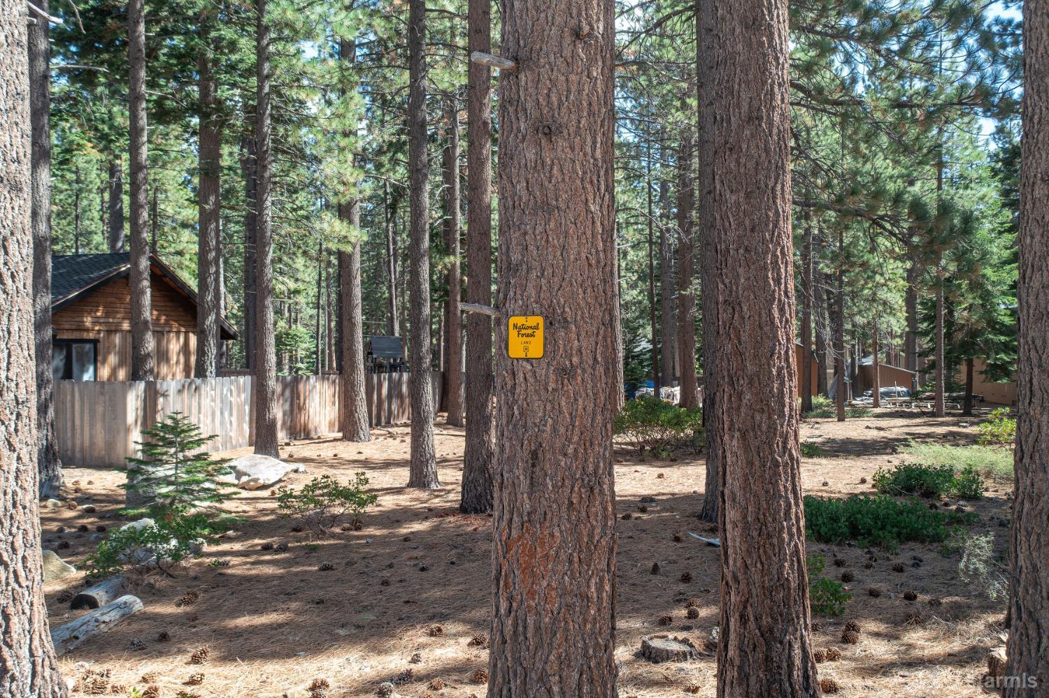 712 Seneca Drive South Lake Tahoe, CA 96150 - Photo 19 of 28 a view of a street view from a tree