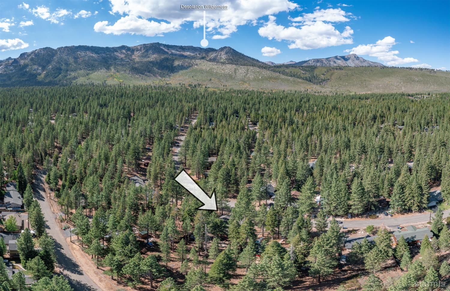 712 Seneca Drive South Lake Tahoe, CA 96150 - Photo 28 of 28 a view of a forest with a mountain in the background